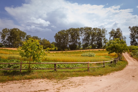 A dirt road with a wooden fence on the side of it