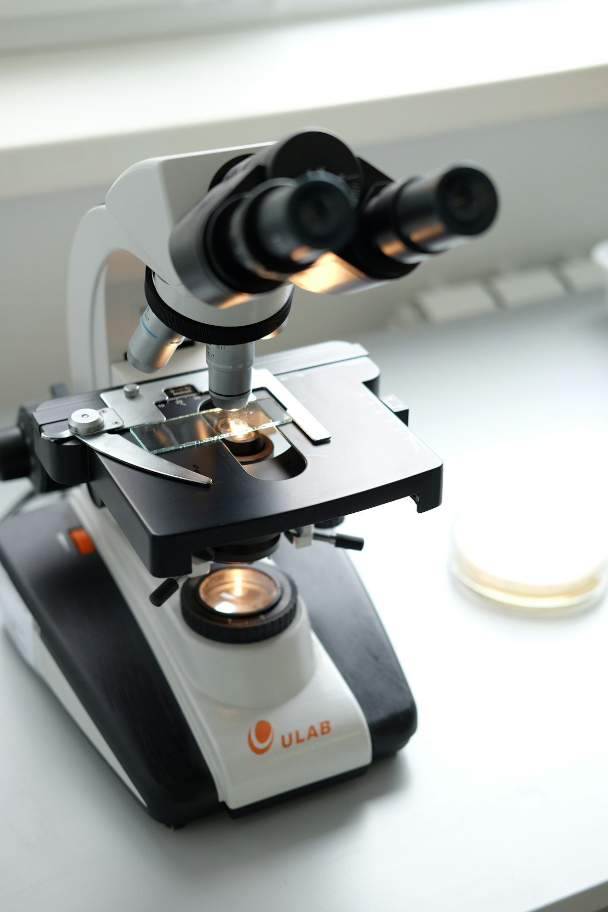 Pharmaceutical laboratory equipment representing Eli Lilly's GLP-1 drug manufacturing dominance