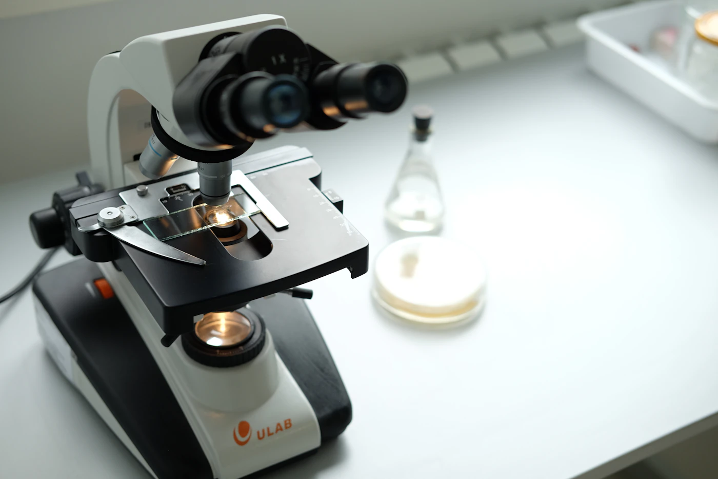 Laboratory microscope with petri dish and glass flask on a clean white bench, representing pet diagnostics at Ichi and Ori Pet Care, Noida — placeholder image