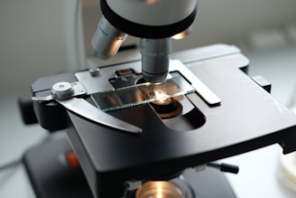 A microscope being used to examine a substance