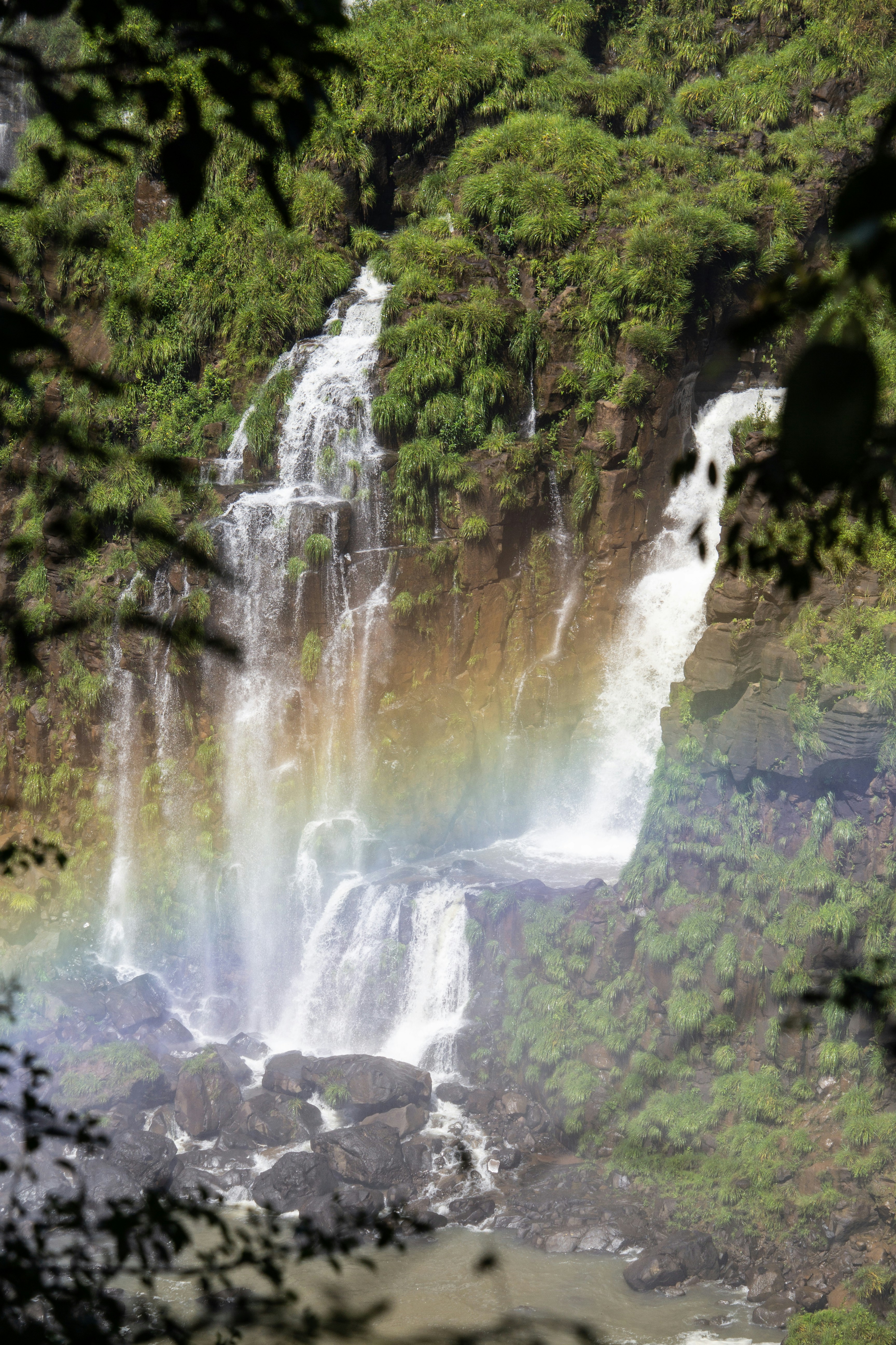 Photo by fotosbyflora