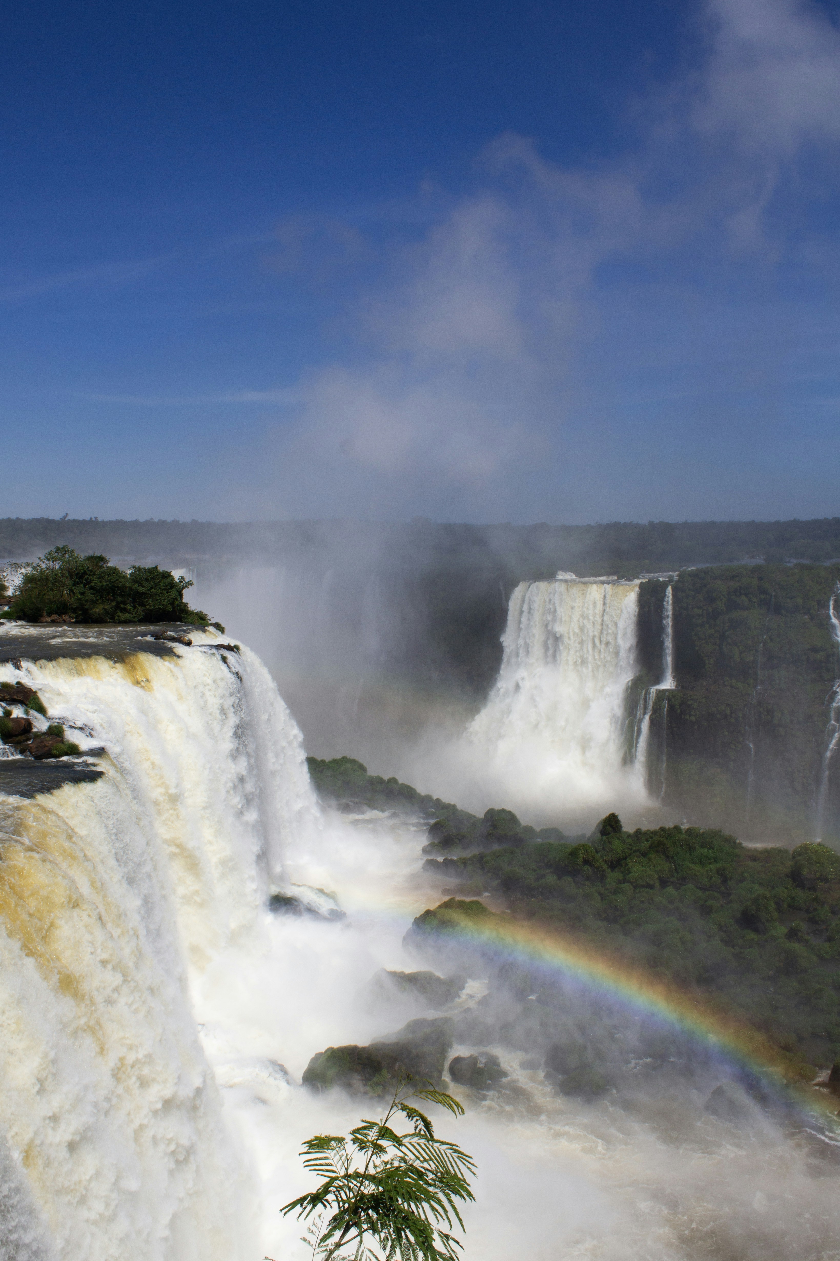 Photo by fotosbyflora