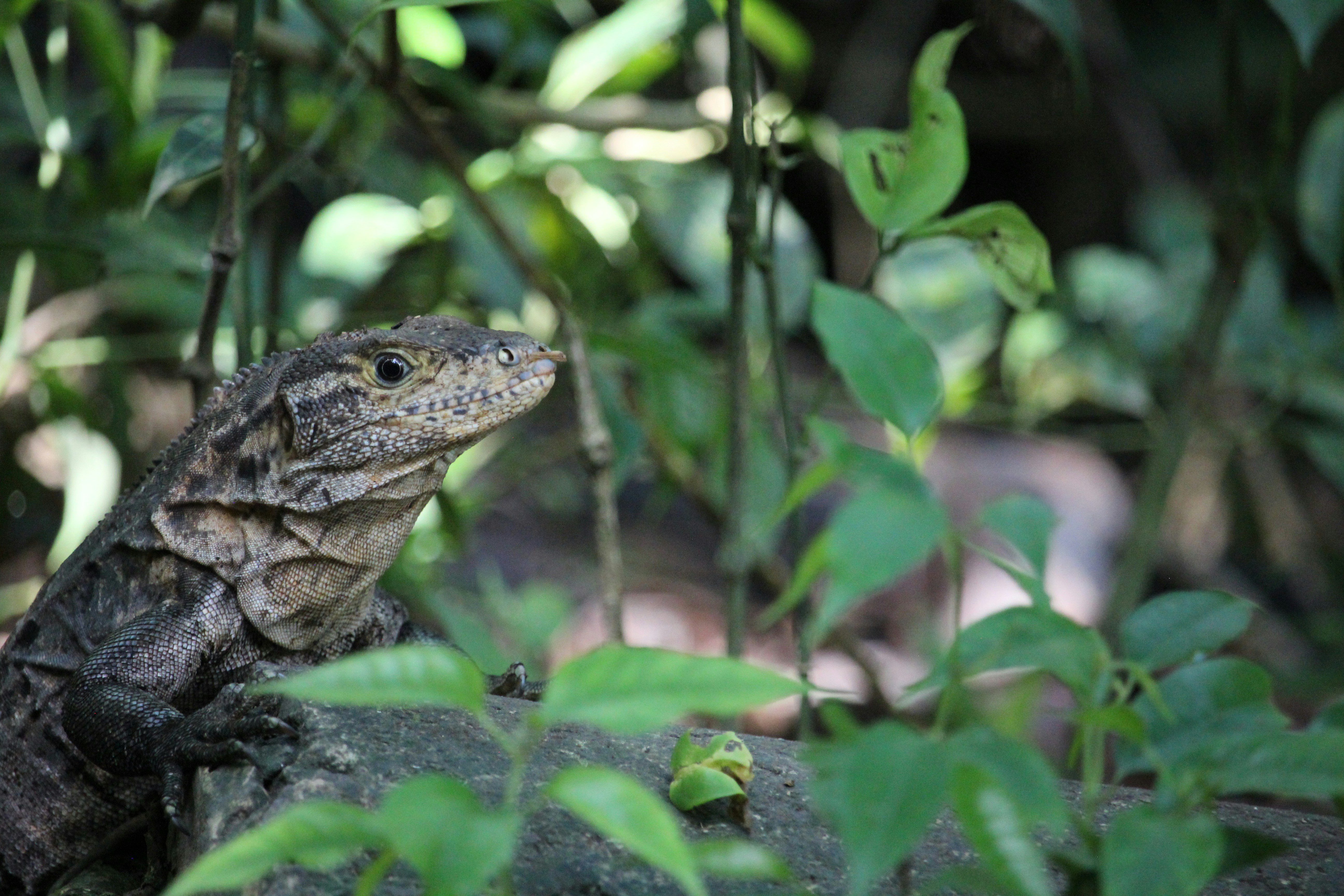 Photo by fotosbyflora