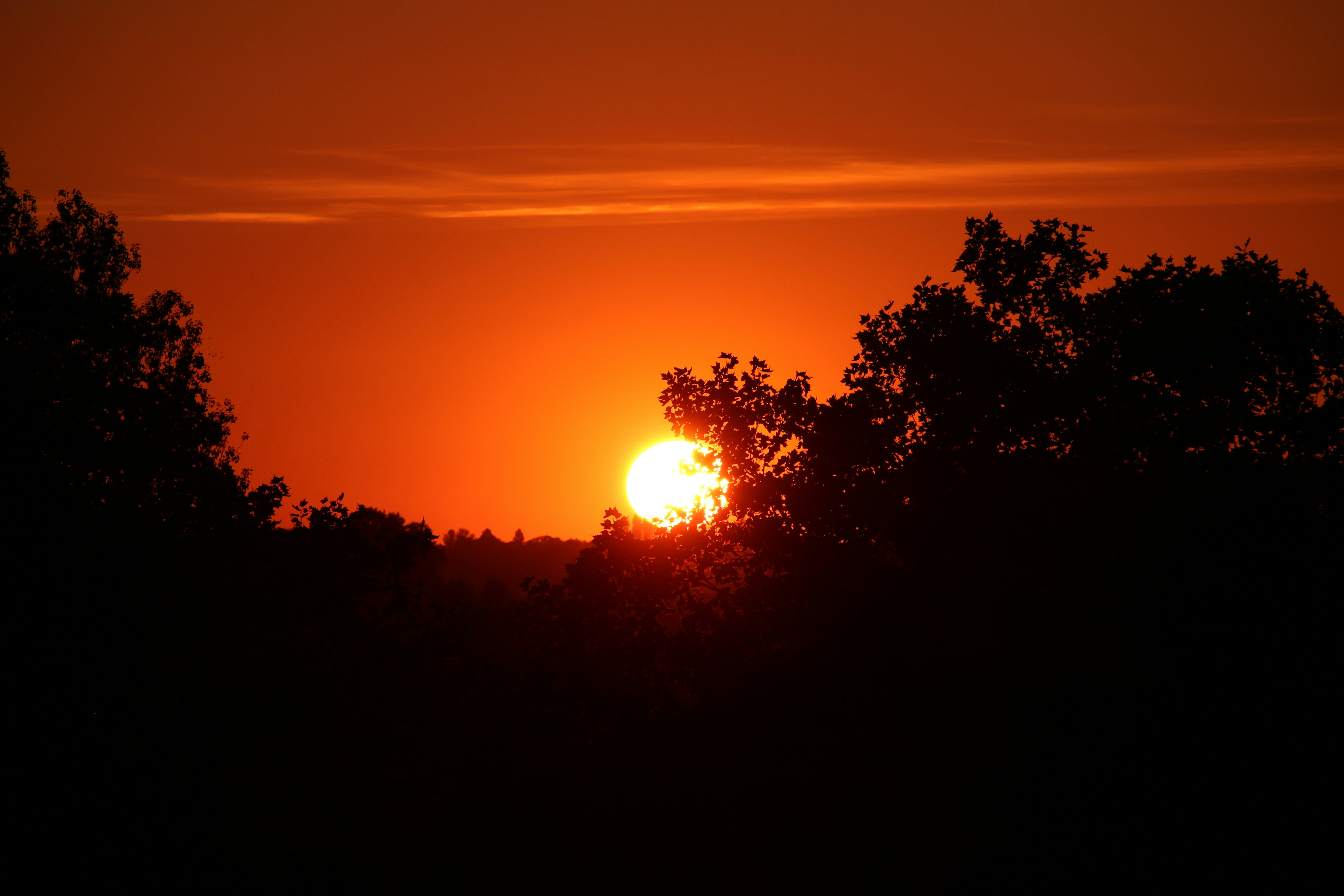 Containers in Sunburst, MT