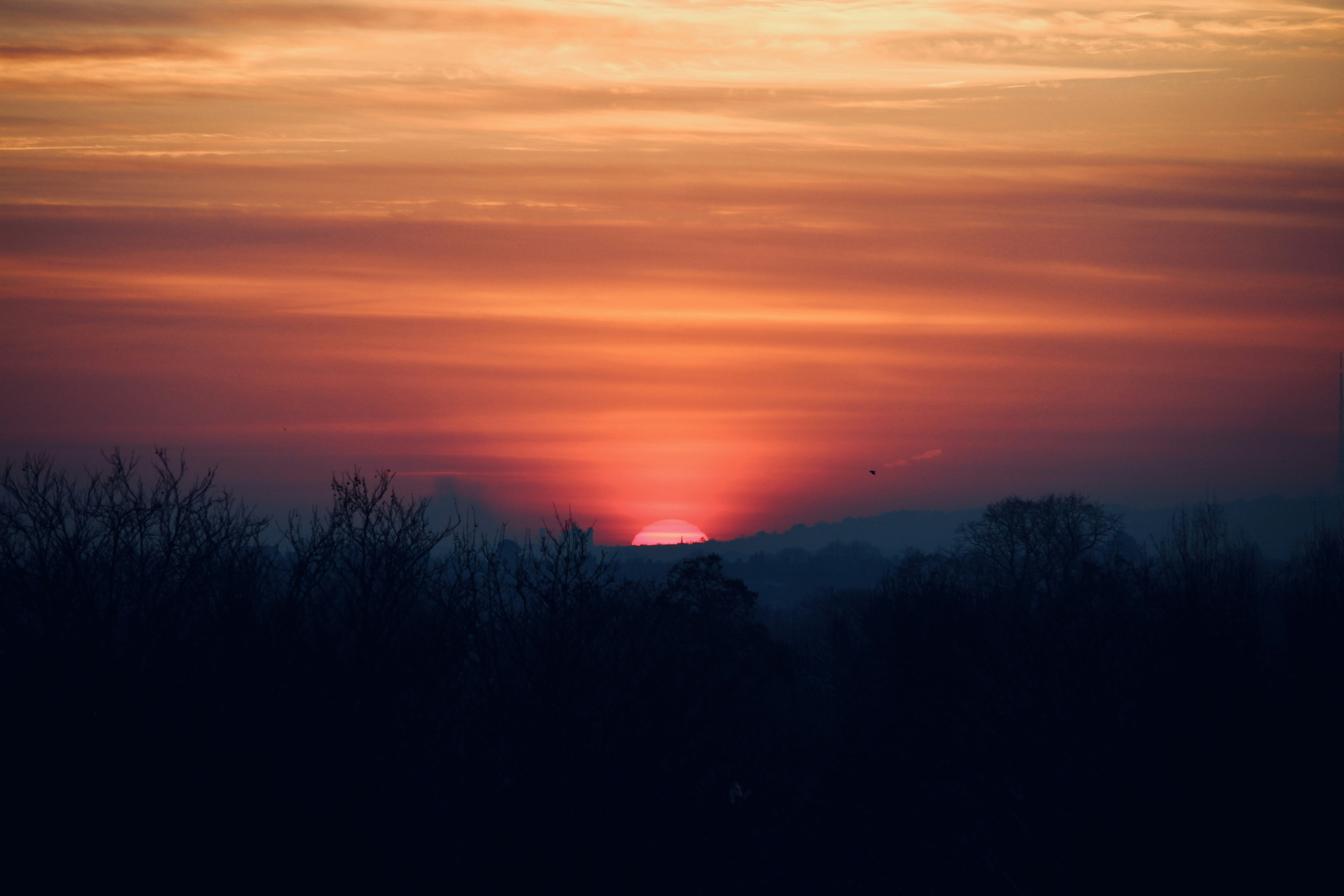 Photo by fotosbyflora