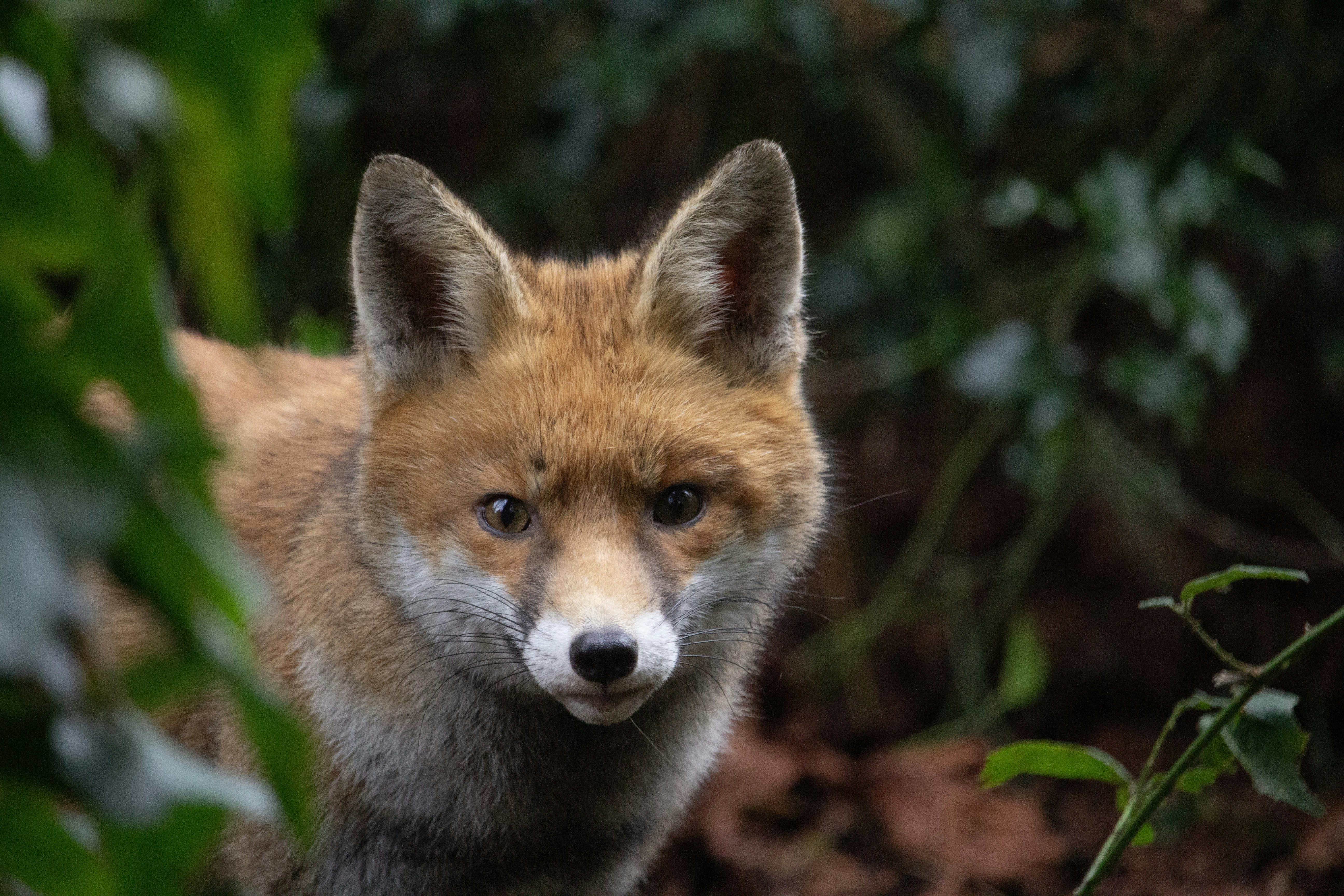 Photo by fotosbyflora