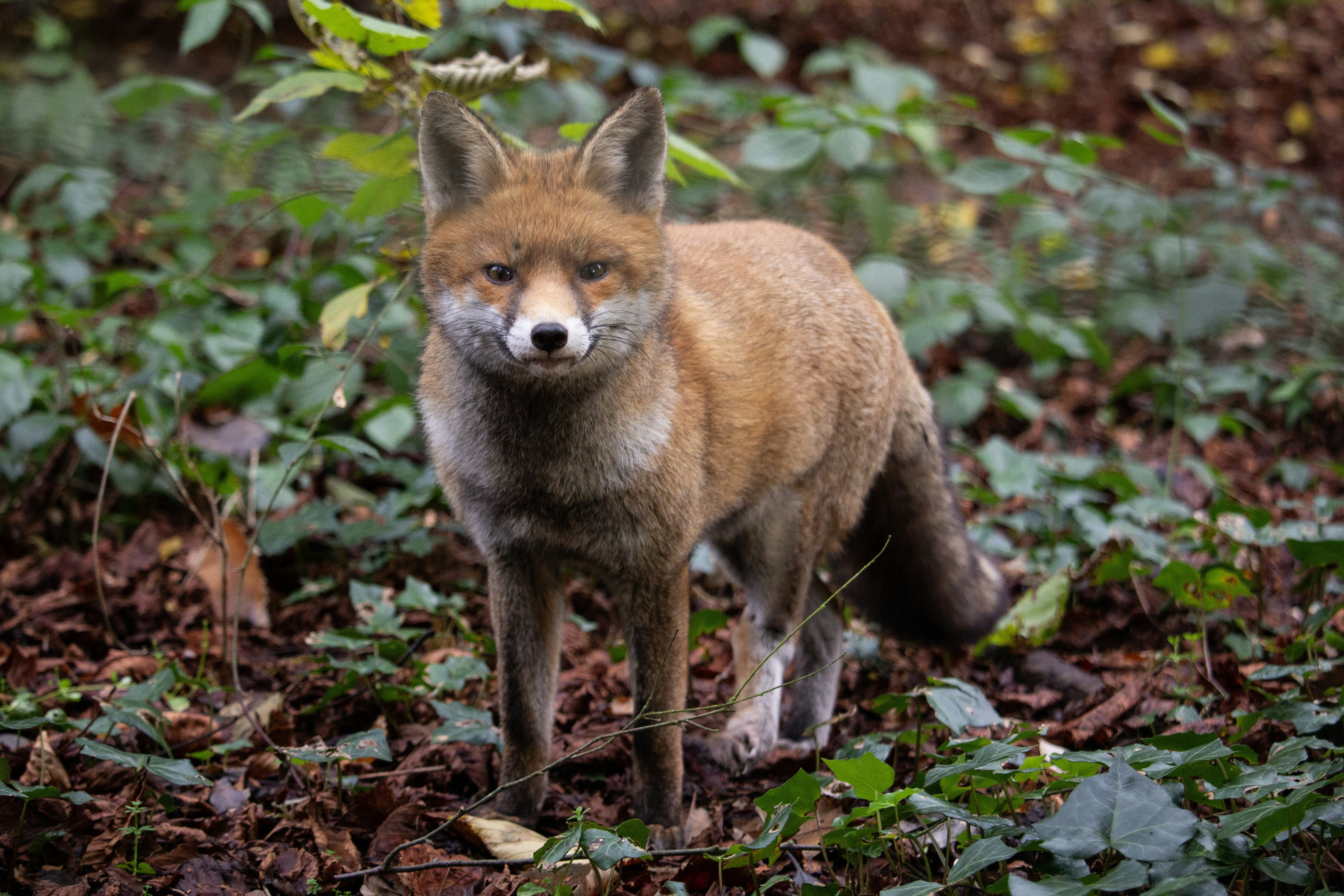 Photo by fotosbyflora