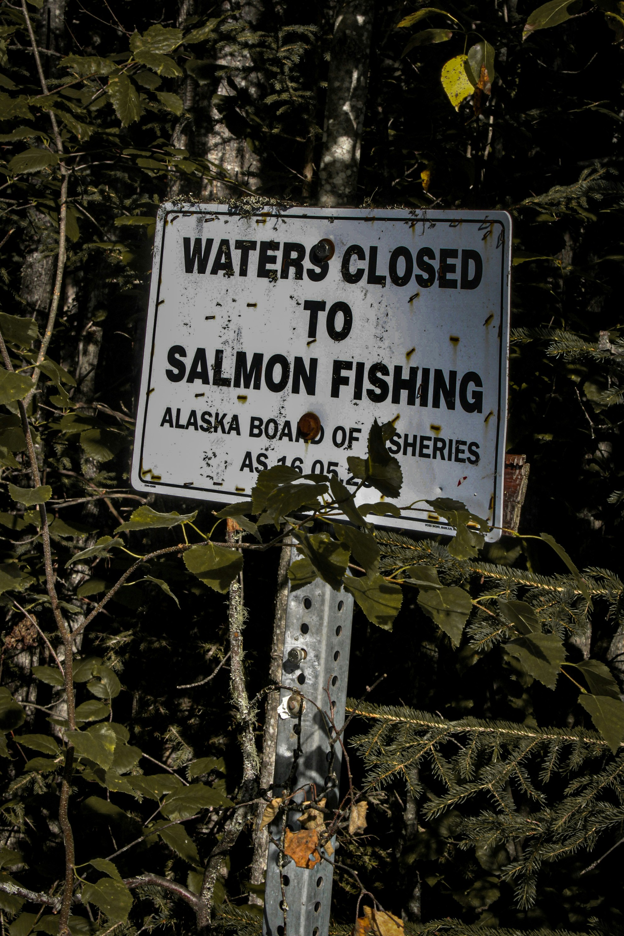 A sign that is on a pole in the woods
