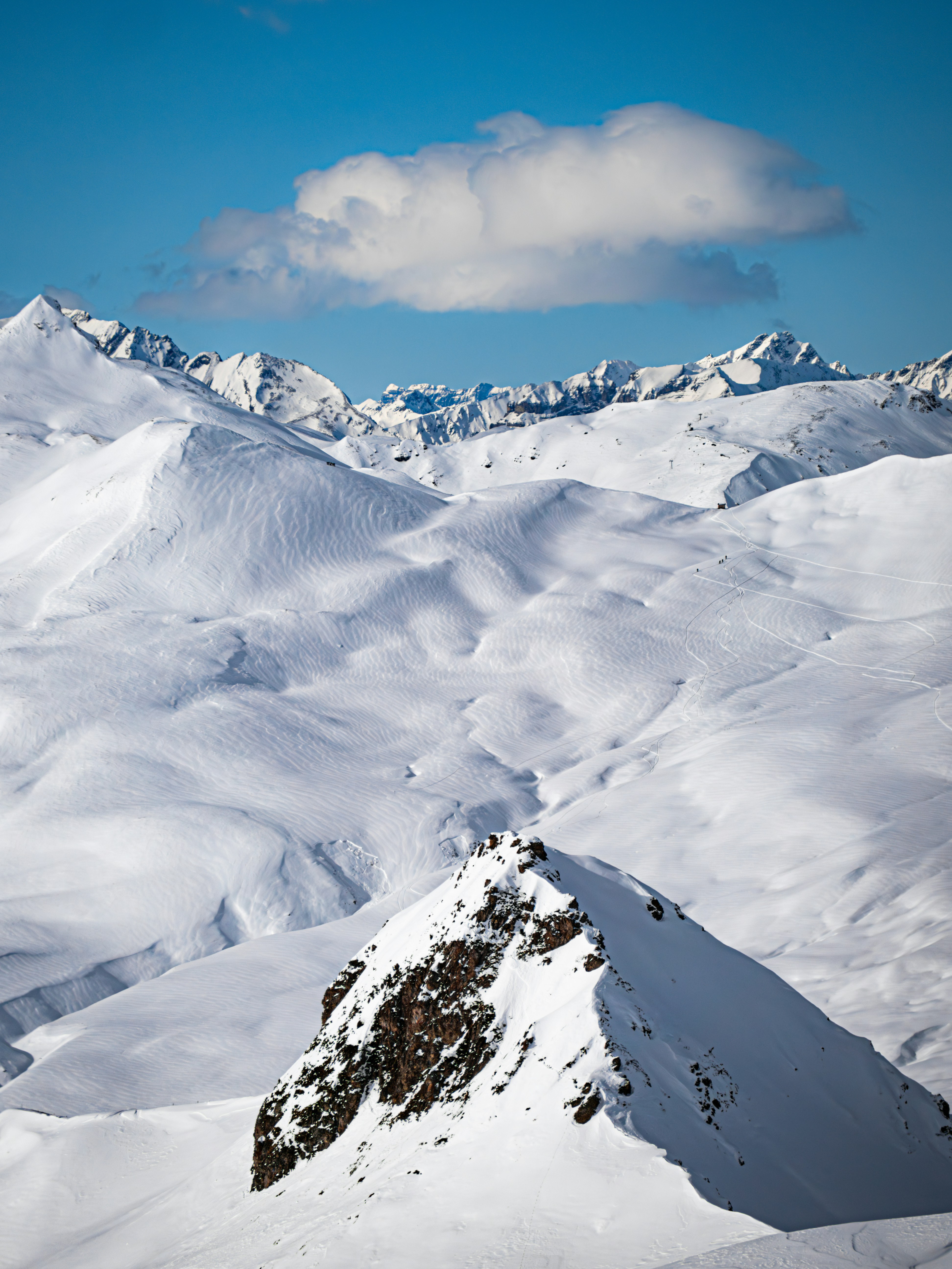 Photo by poli_graphy