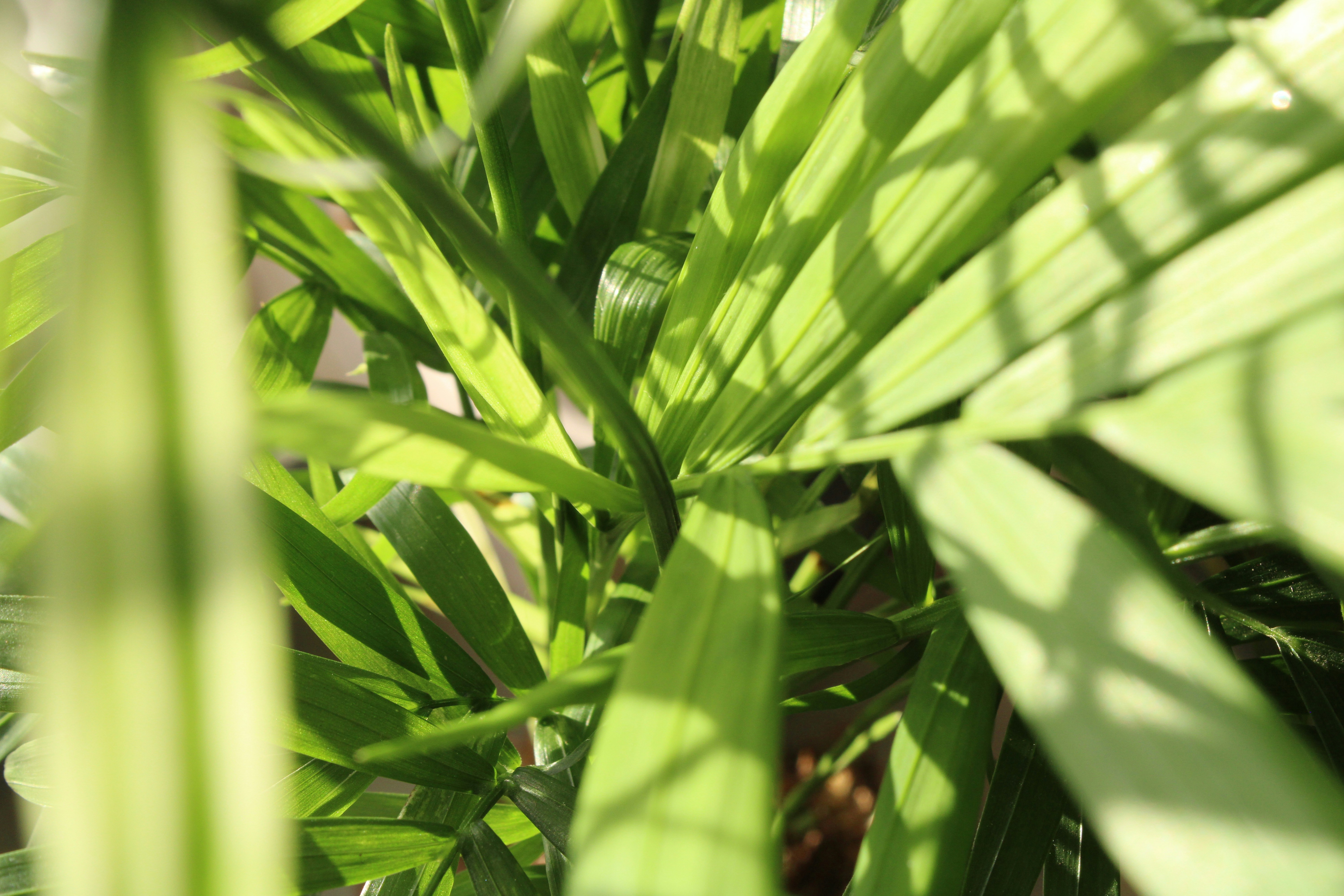 Photo by enamoradaaa