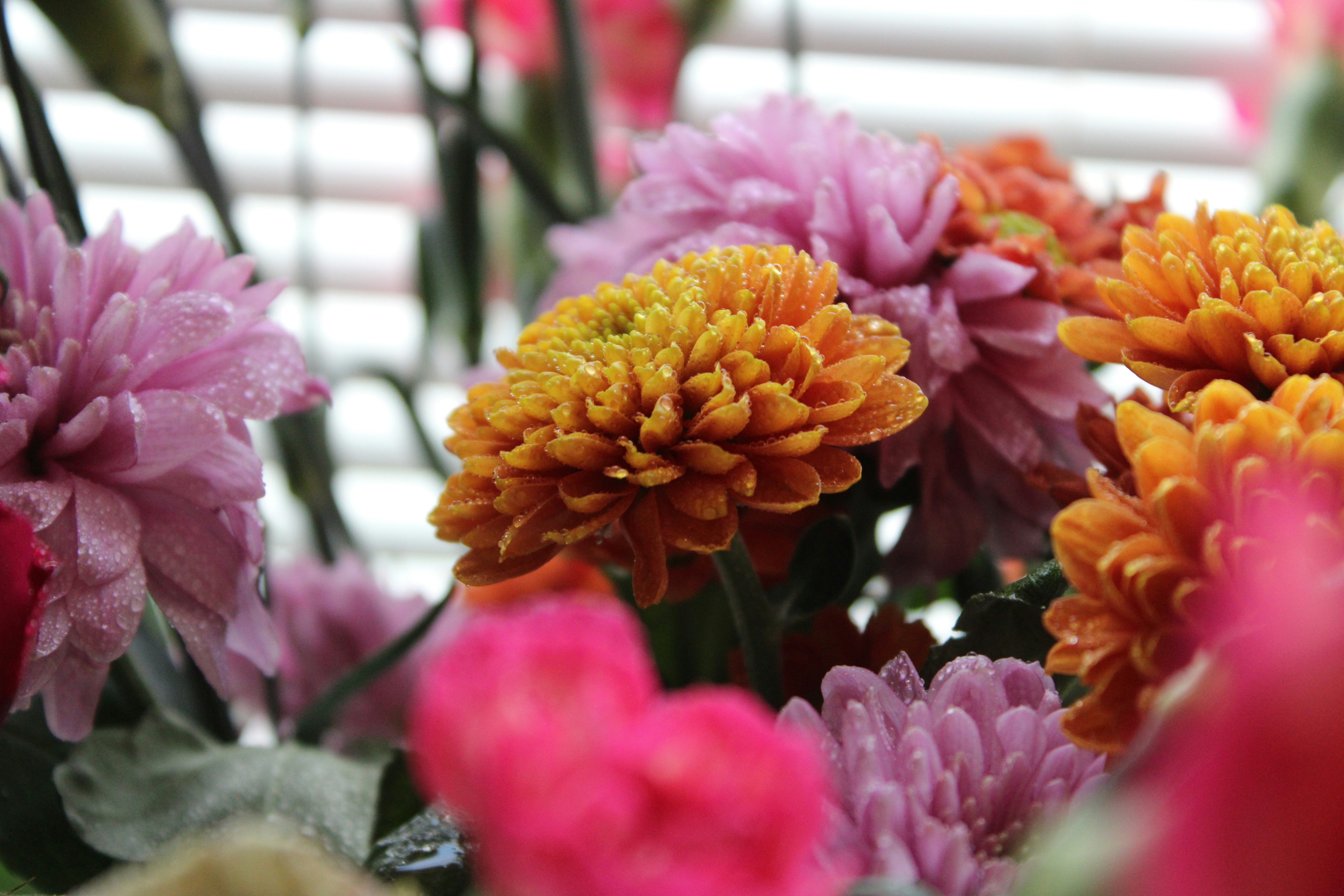 Photo by enamoradaaa