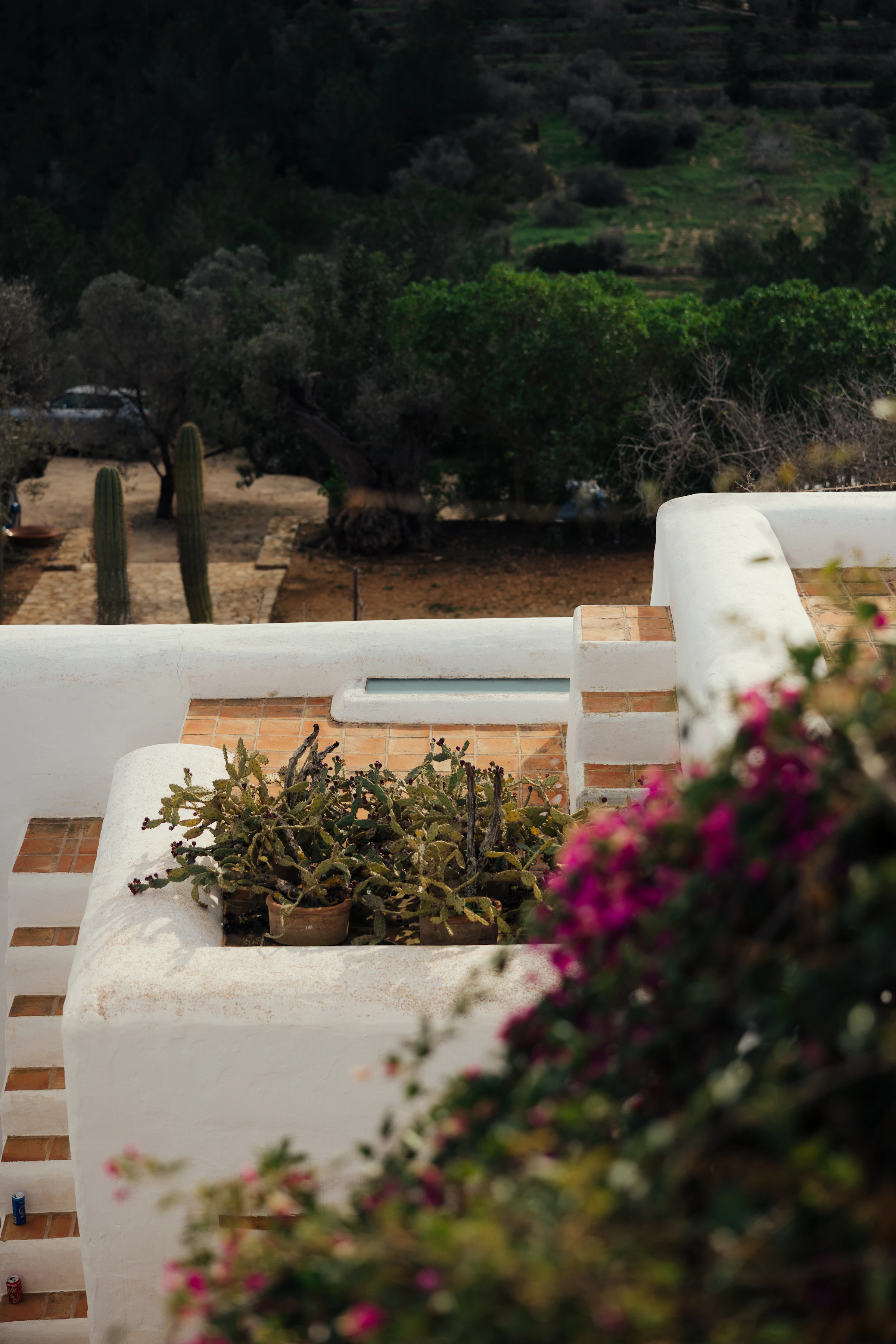 Whitewashed Ibiza villa terrace with bougainvillea and terracotta tiles