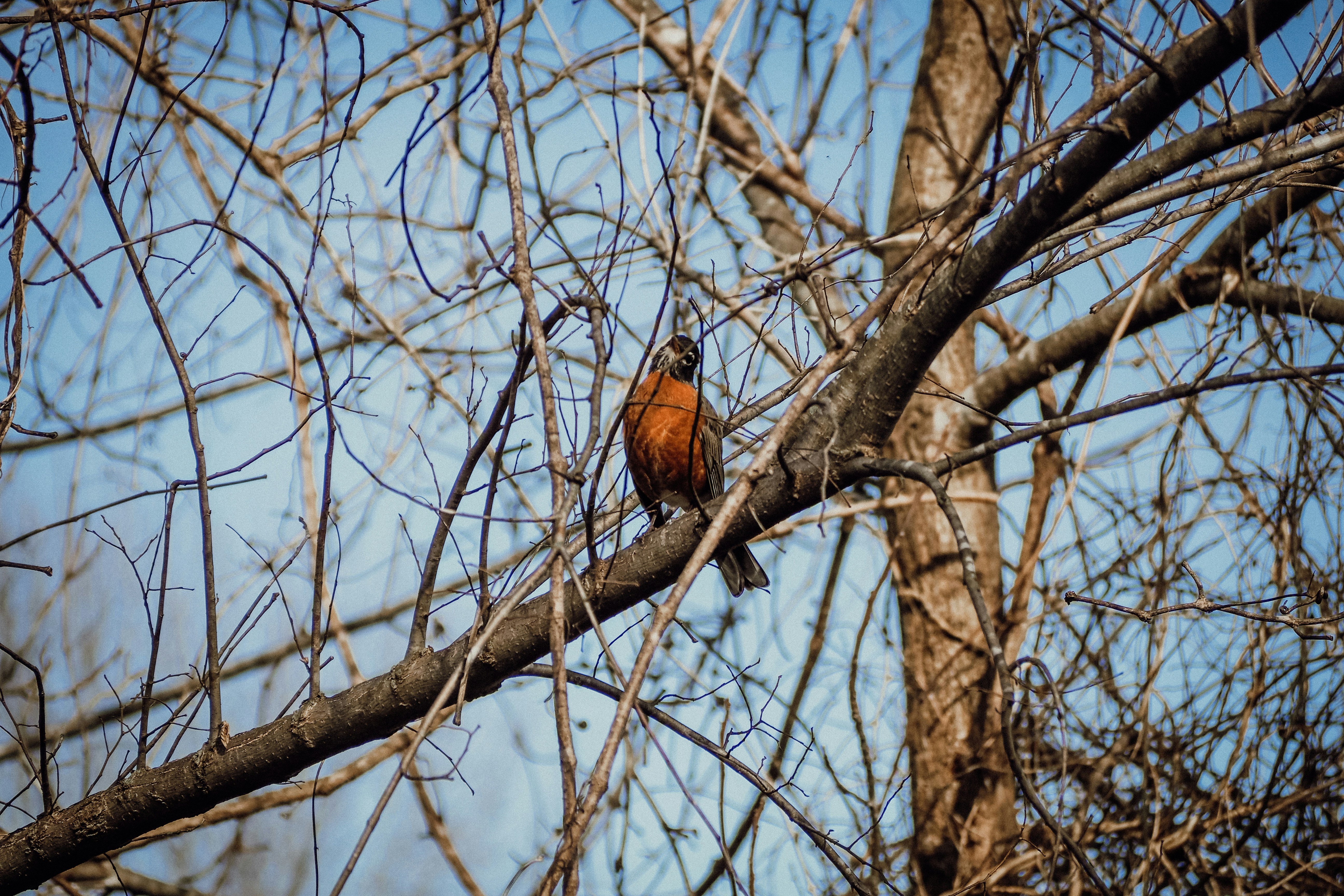 Photo by fieldworkframes