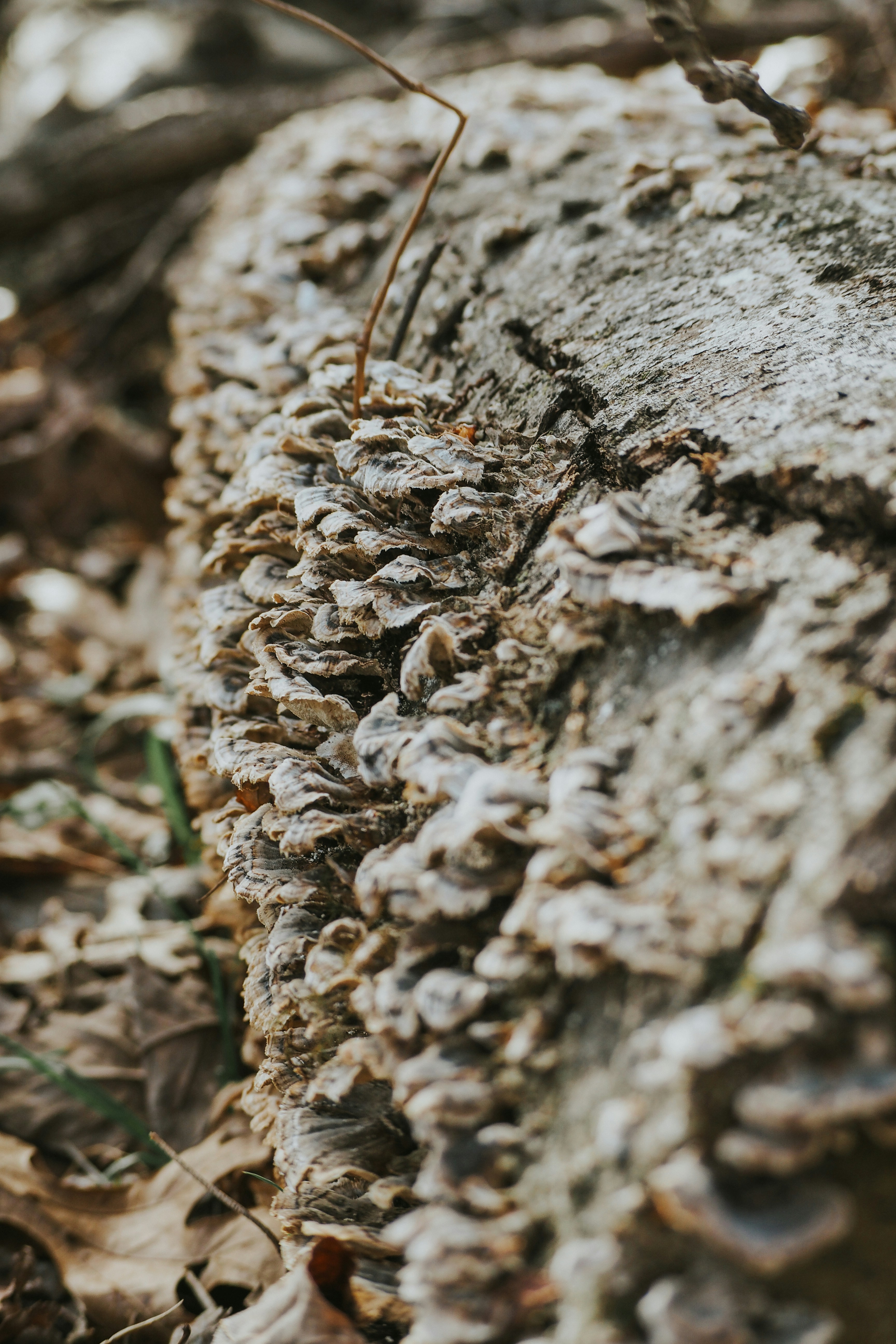 Photo by fieldworkframes