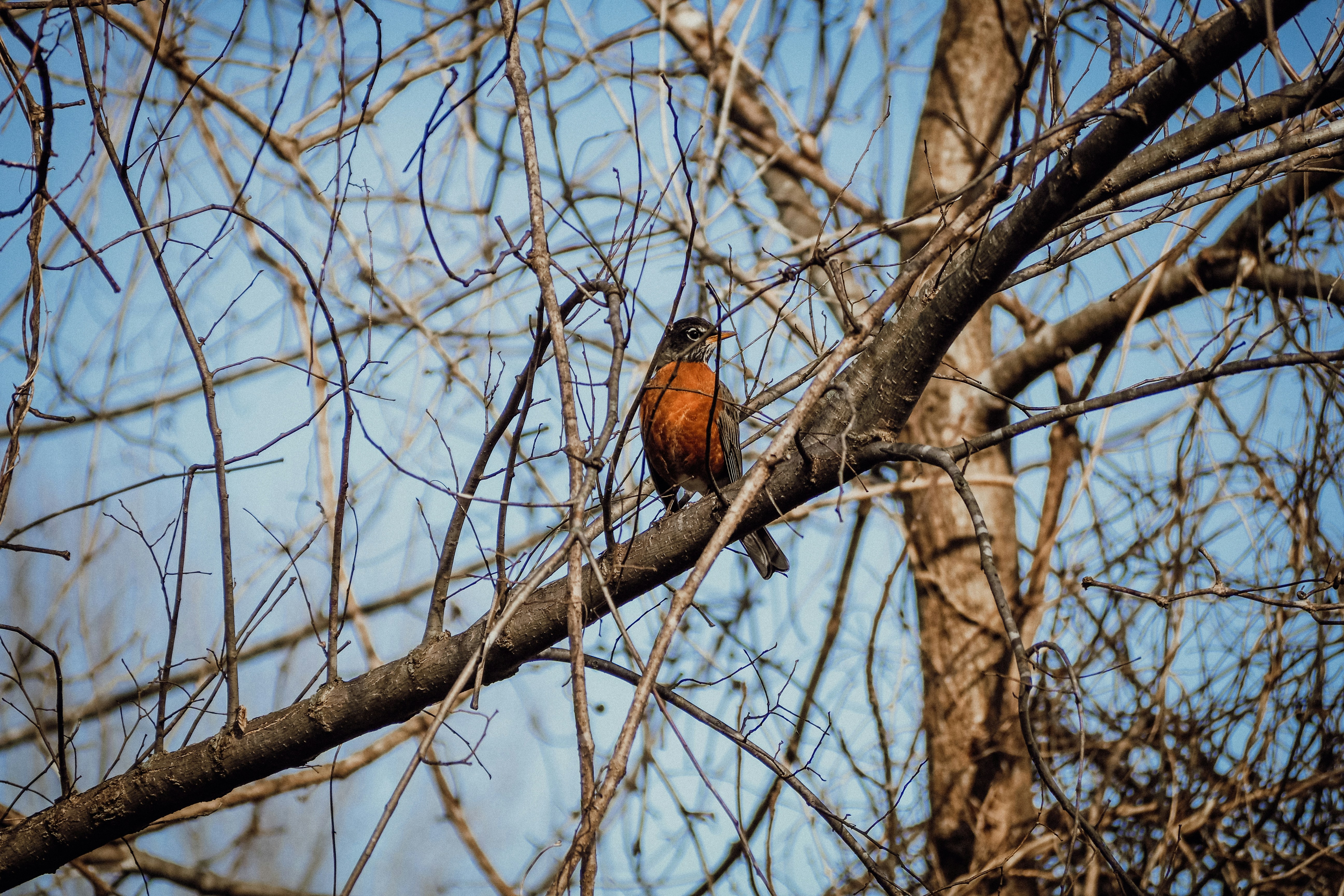 Photo by fieldworkframes