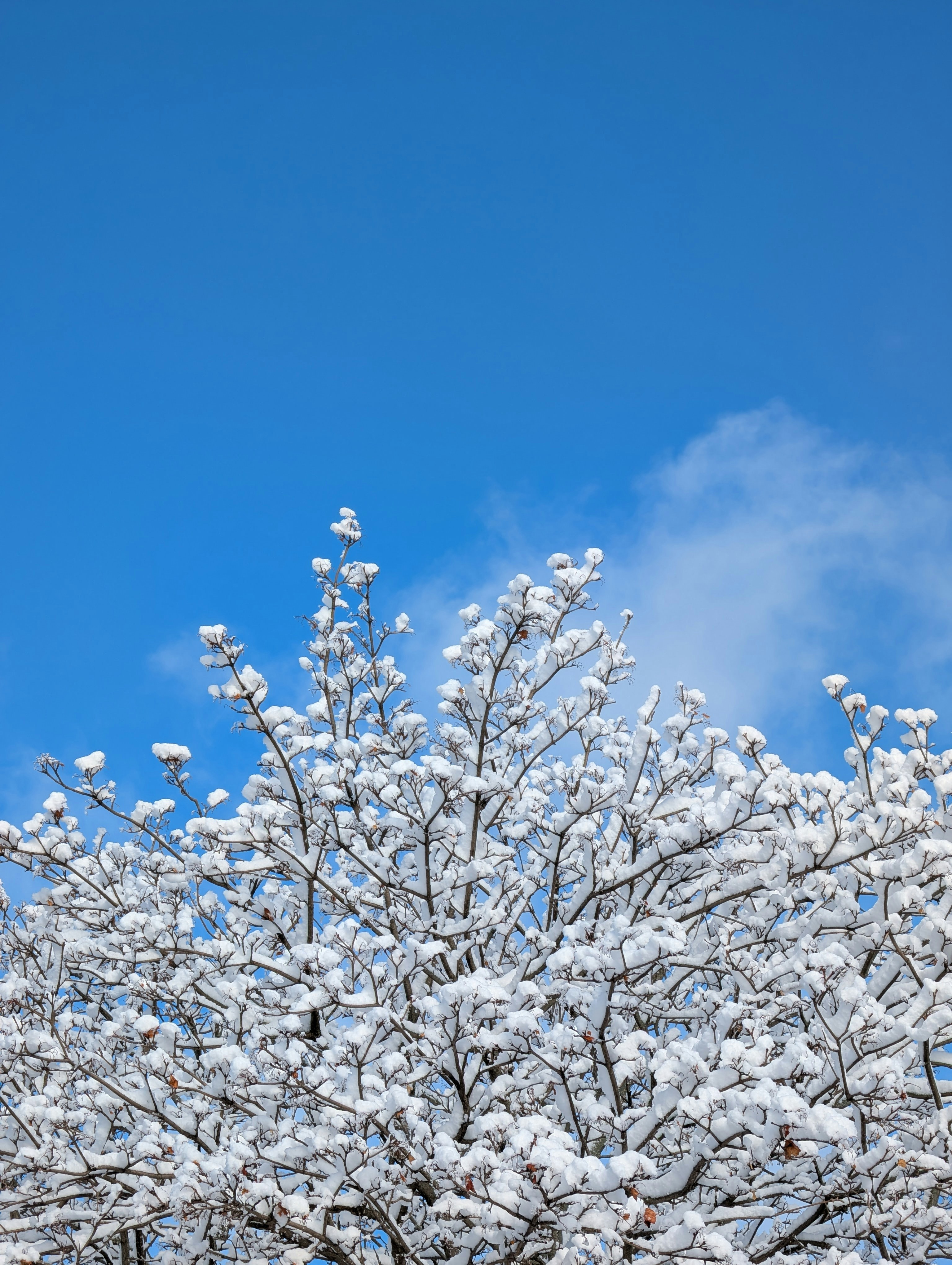 Photo by hashcode_error