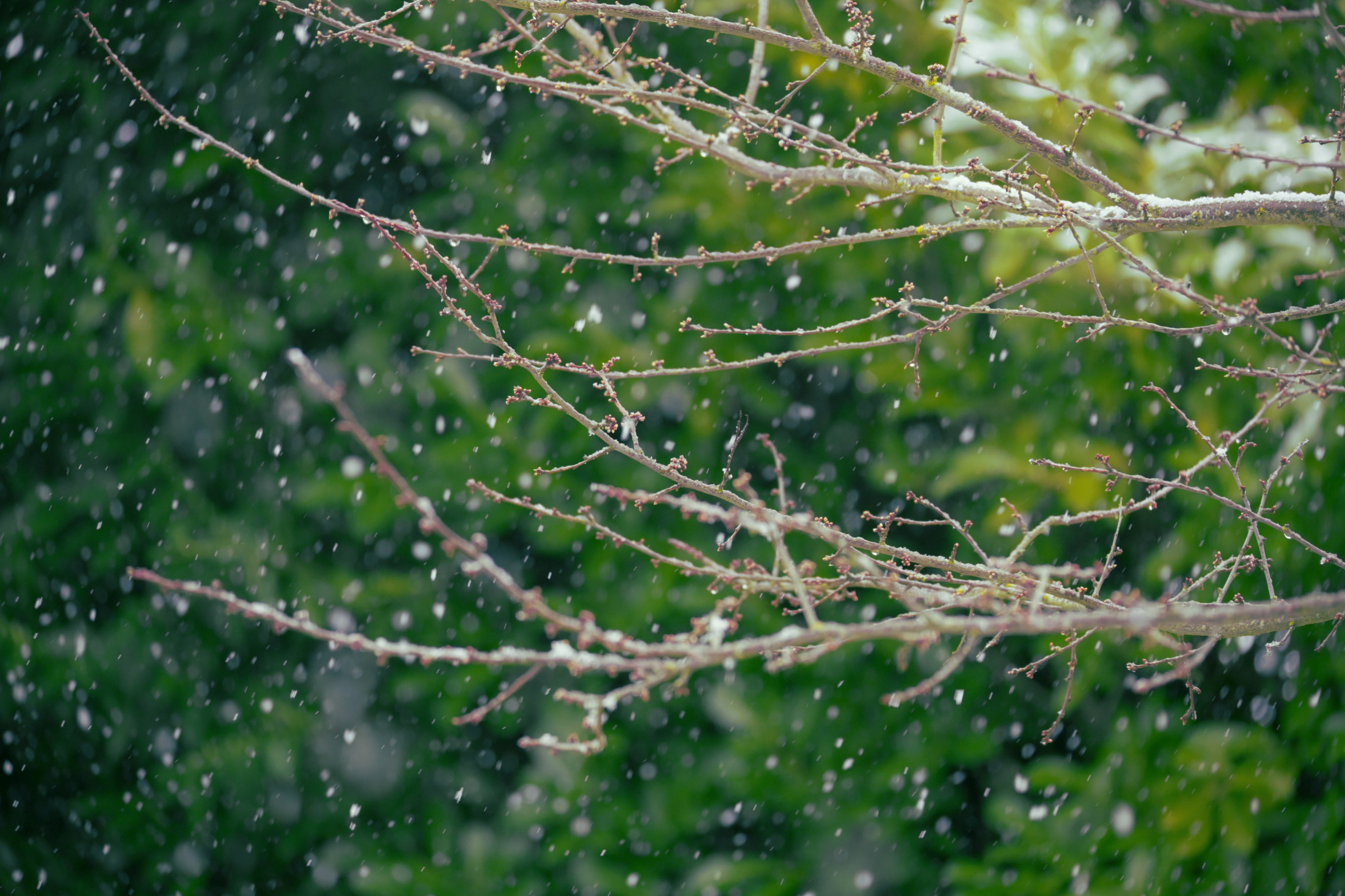 Photo by fleeting_glow