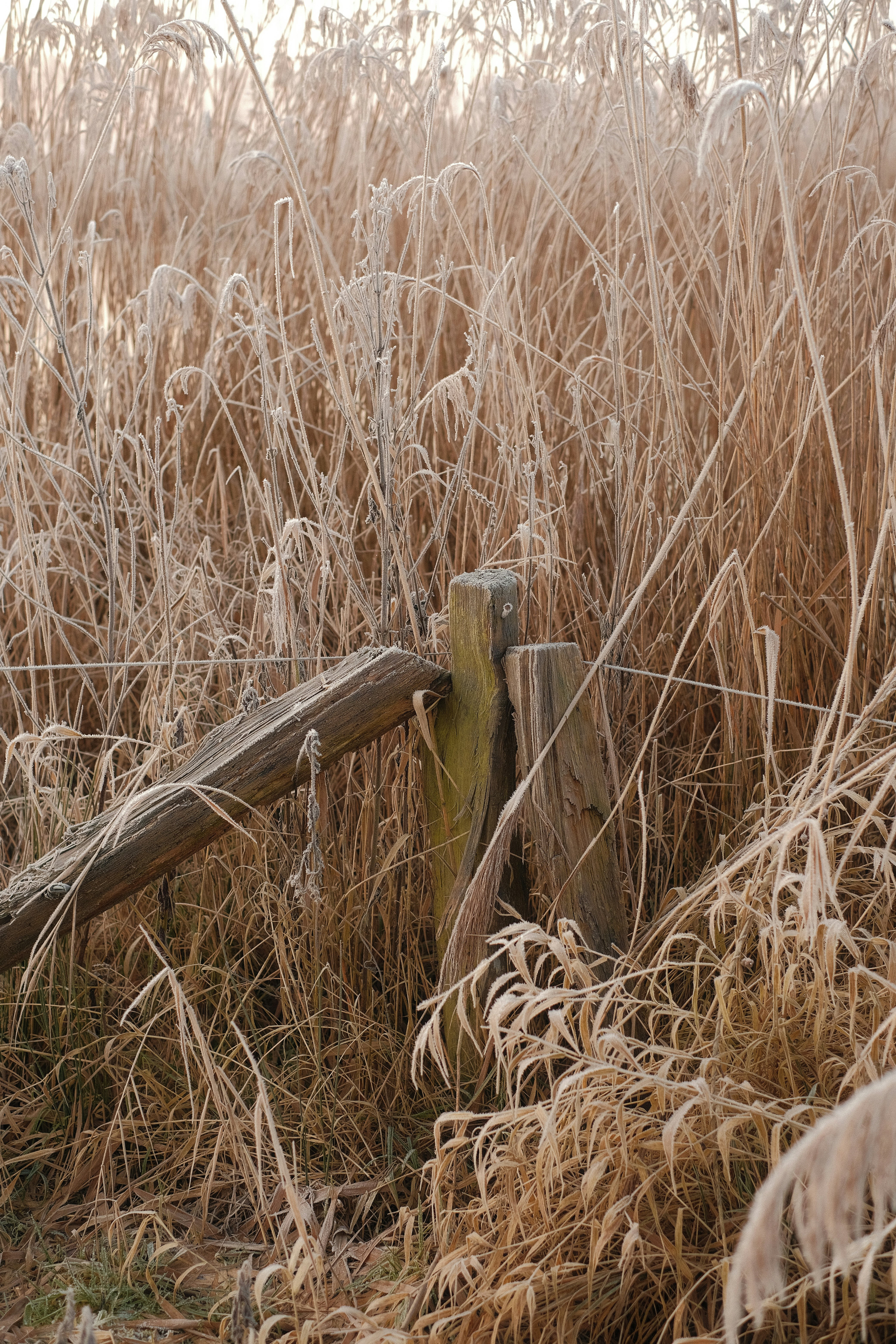 Photo by visualsbying