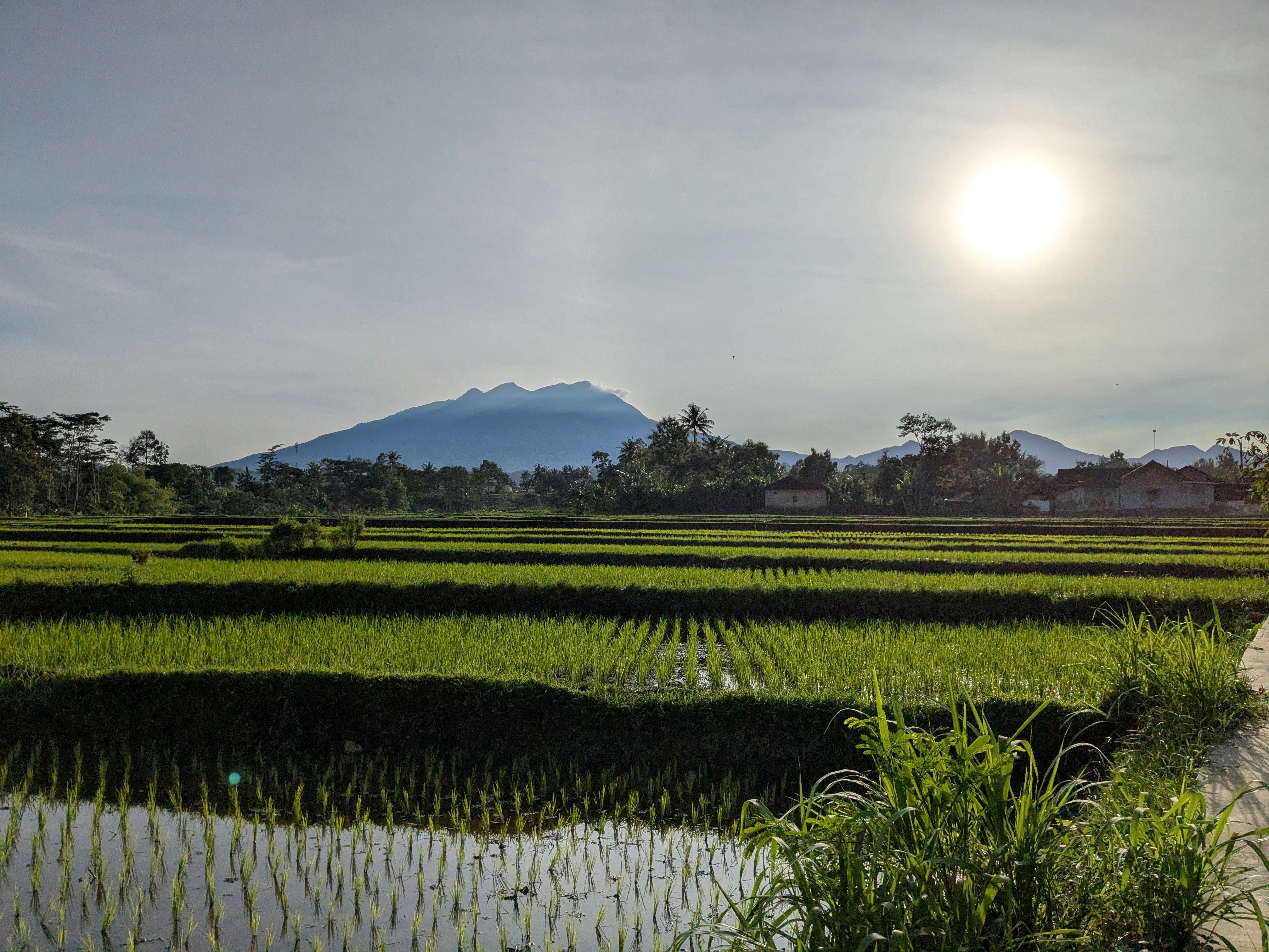 Photo by hendraaagil