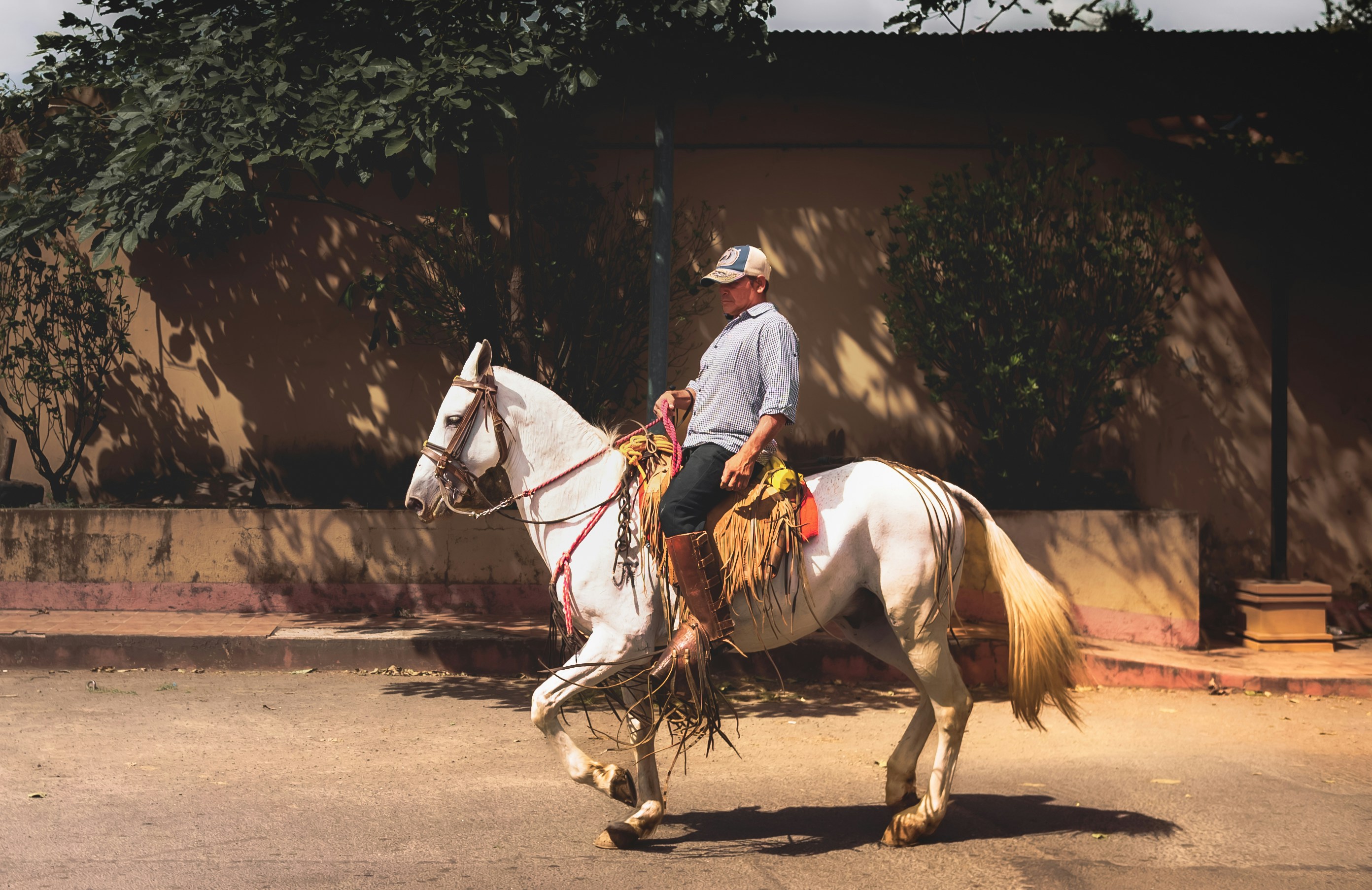 Photo by cinematic_life_nic