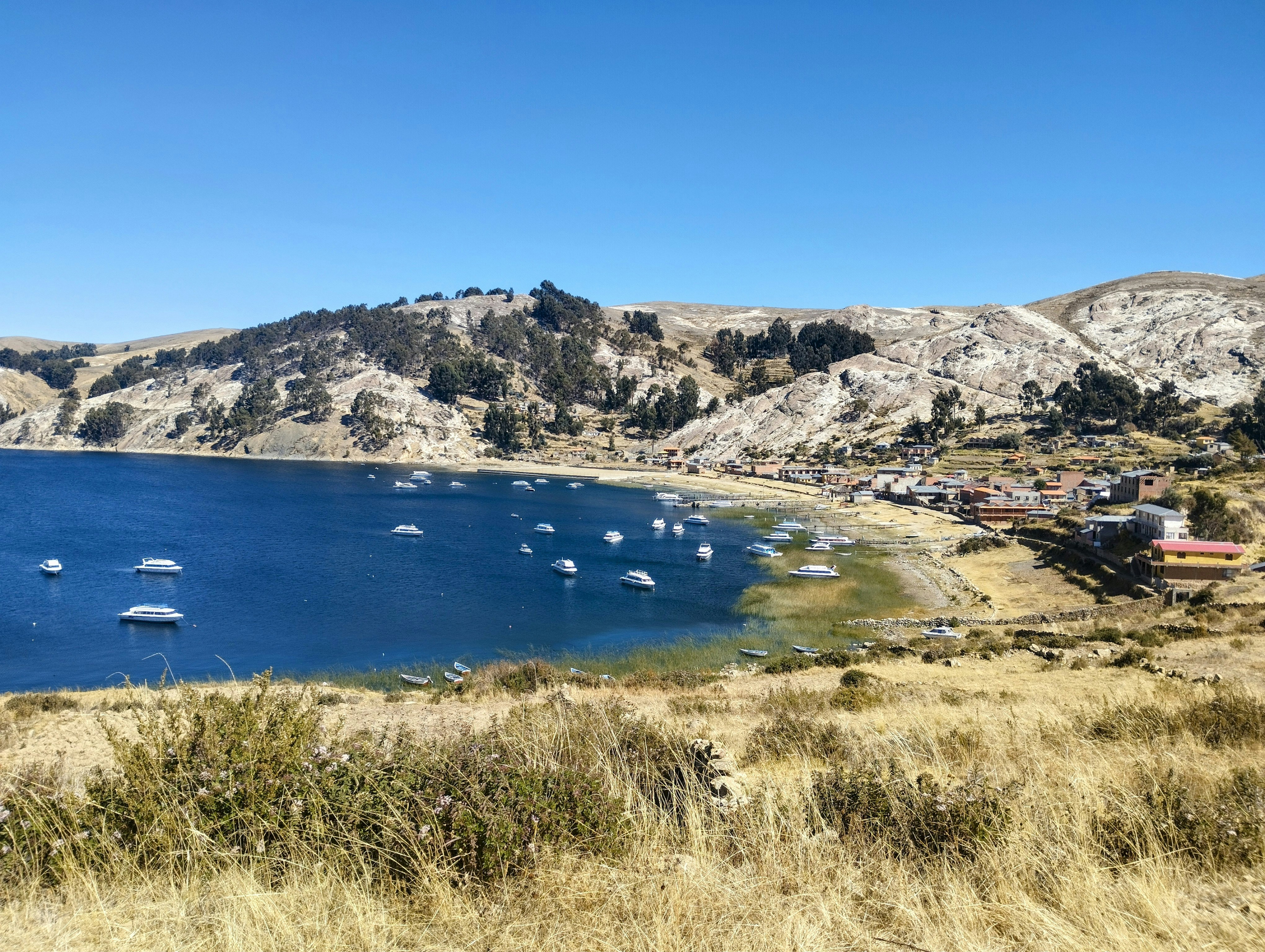 Lago La Plata Northeast Cove view 3