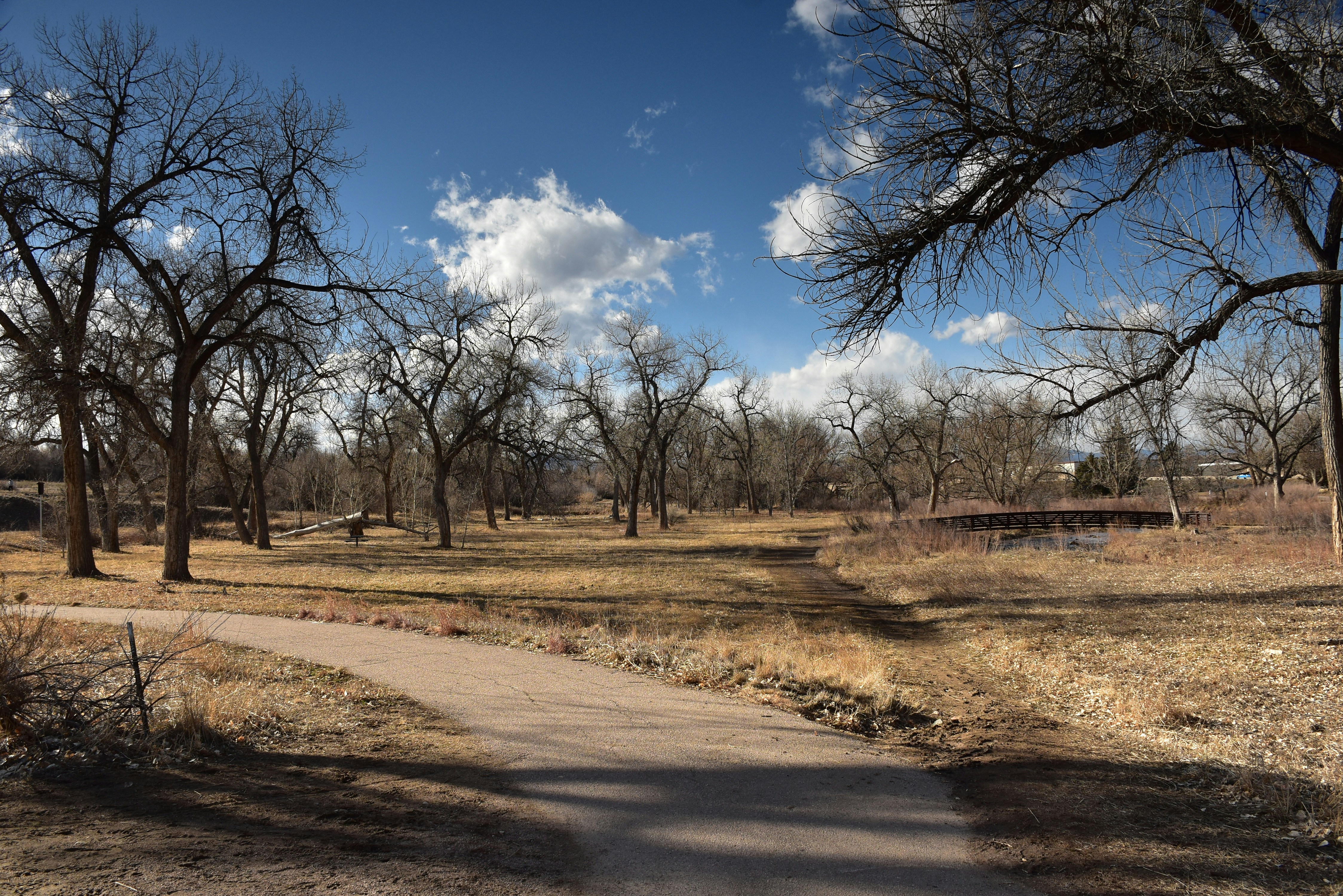 Rigney Park