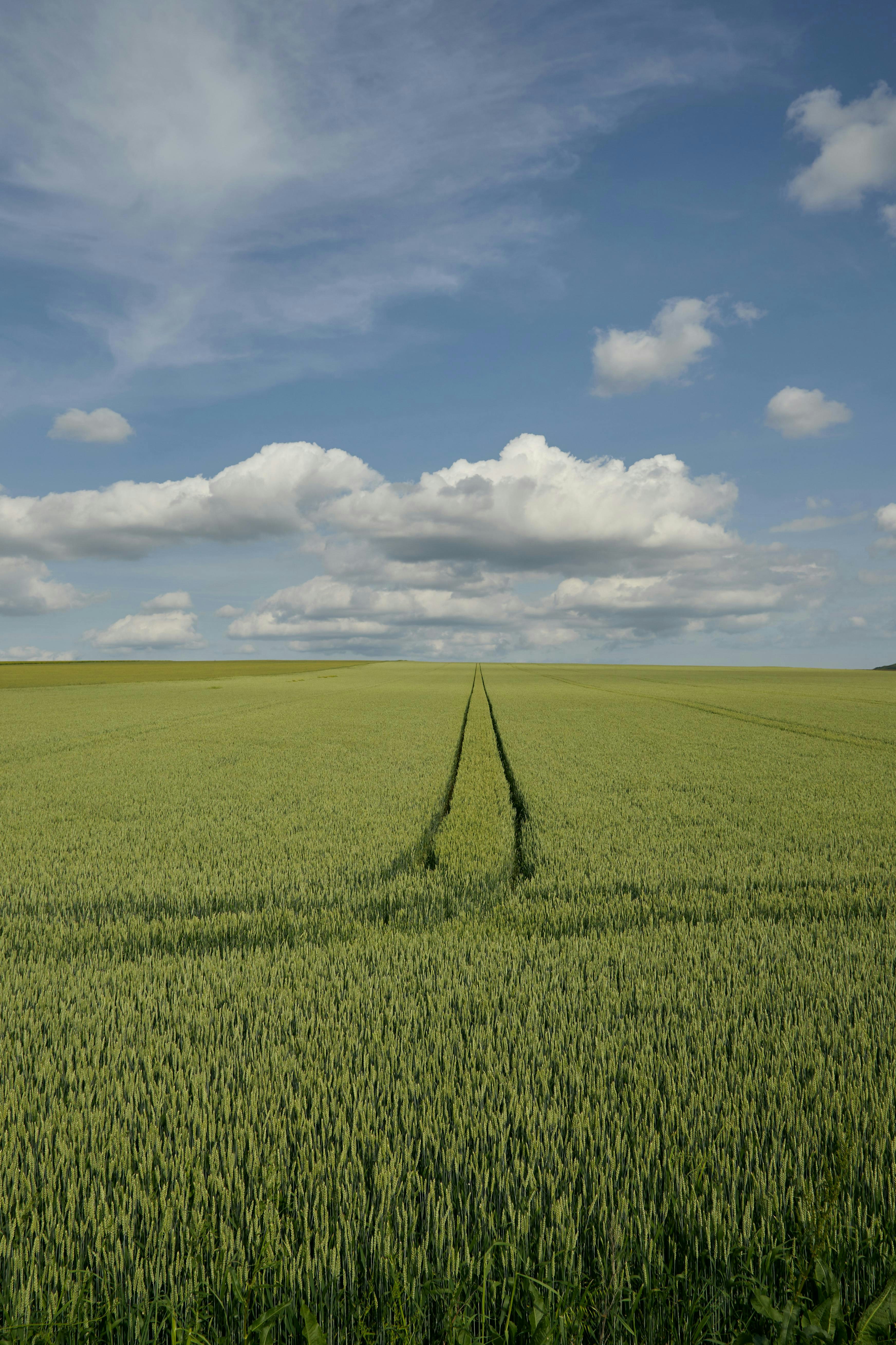 Photo by huzaifaniazi99