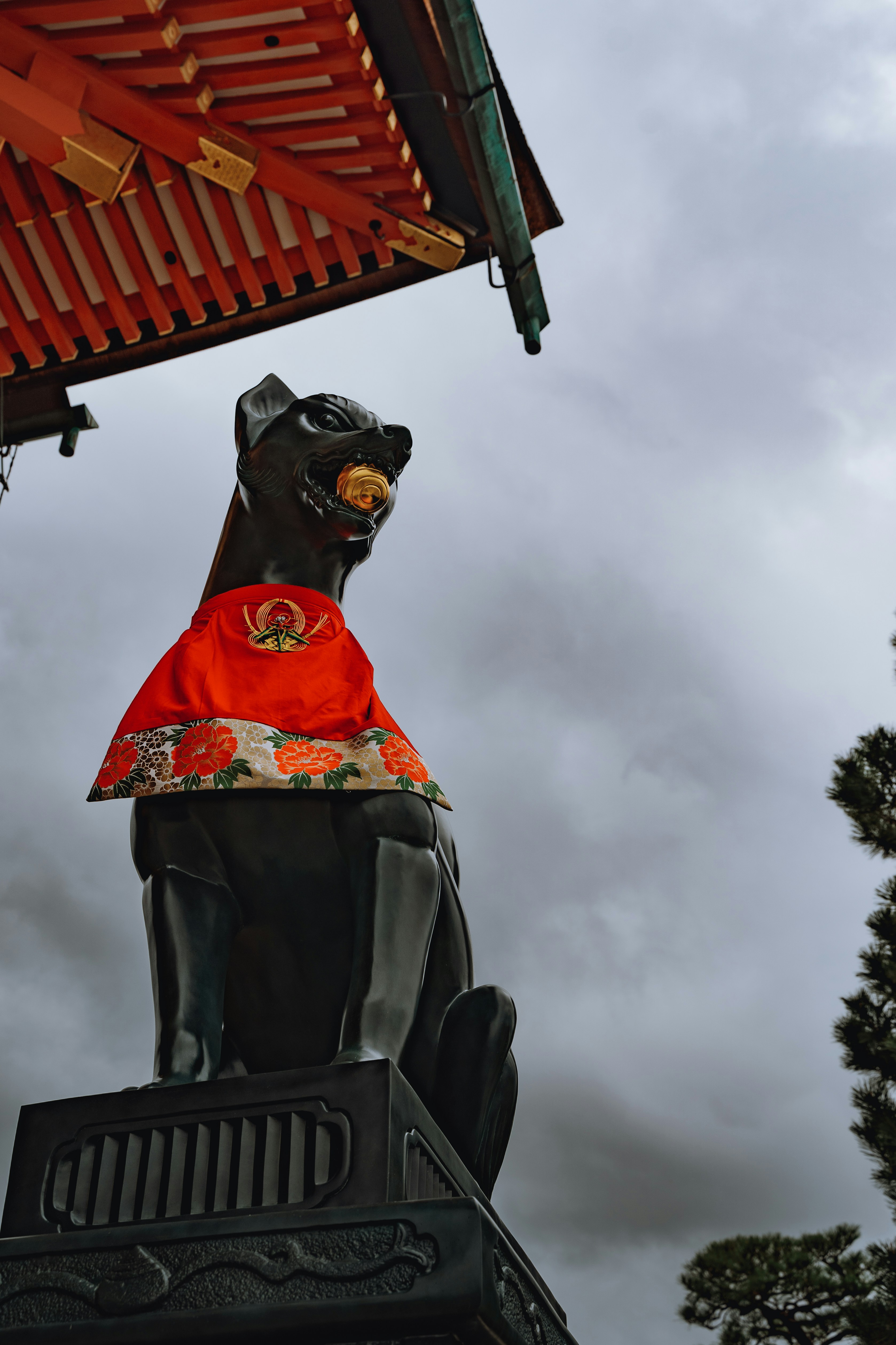 Photo by chennaisupremo