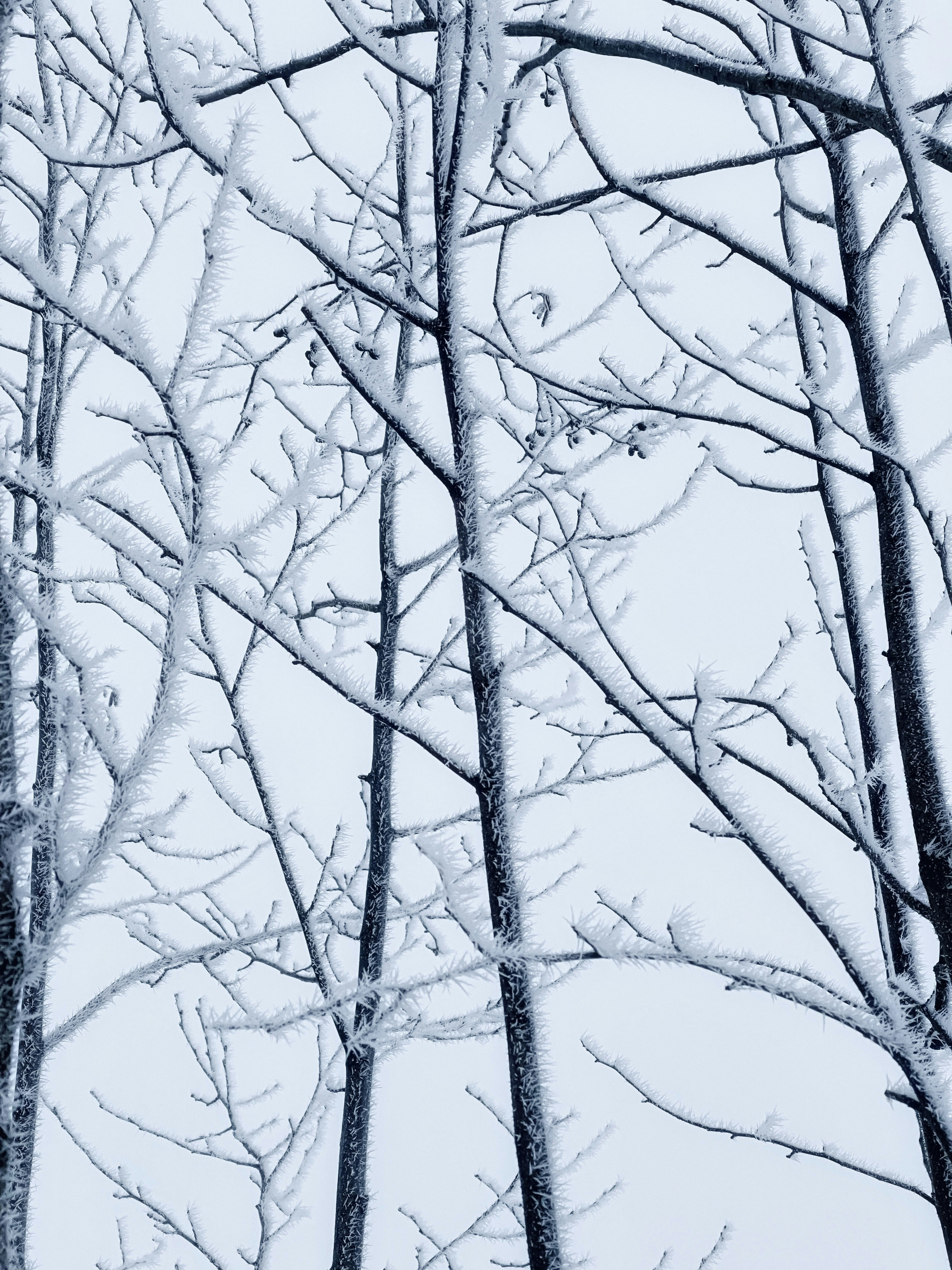 Photo by eugene_golovesov