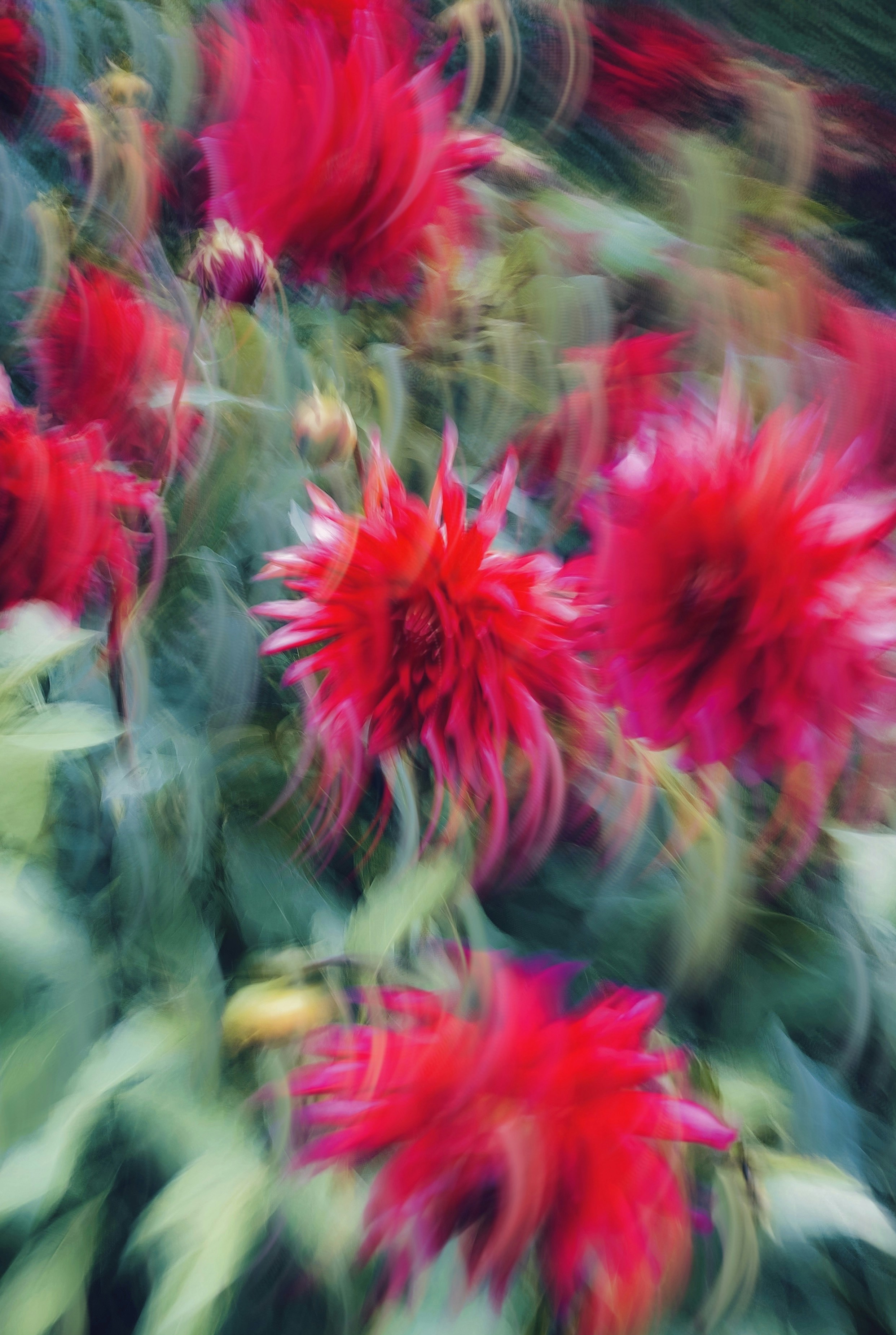 Photo by eugene_golovesov