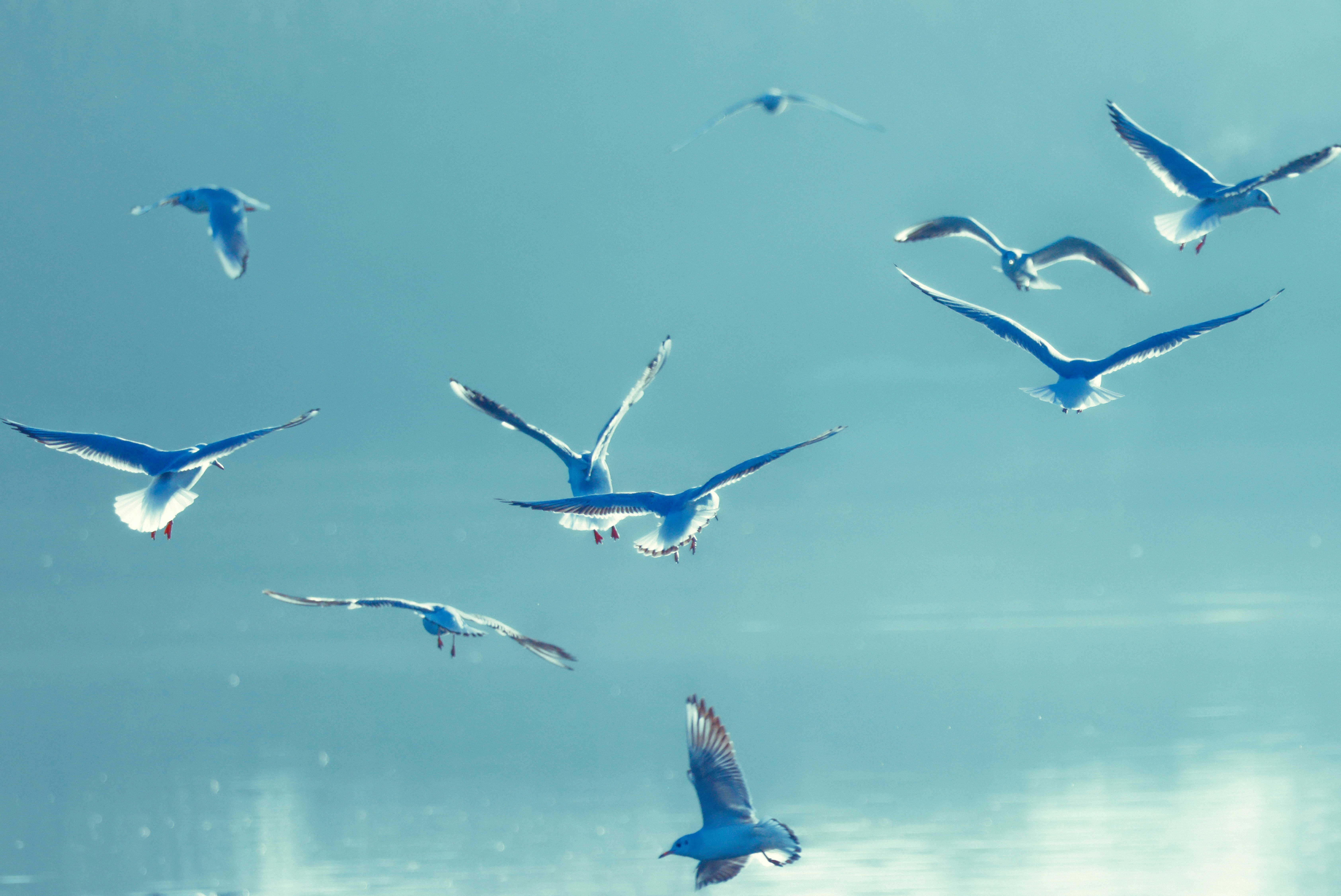 Photo by grievek1610begur