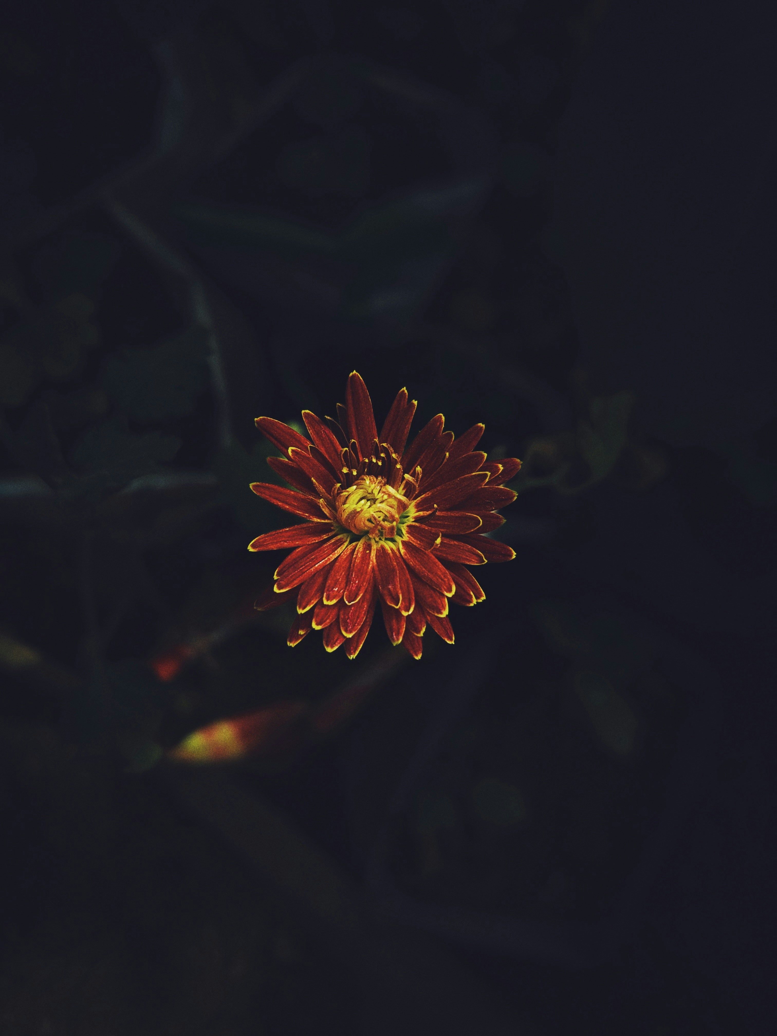 Photo by the_barman99