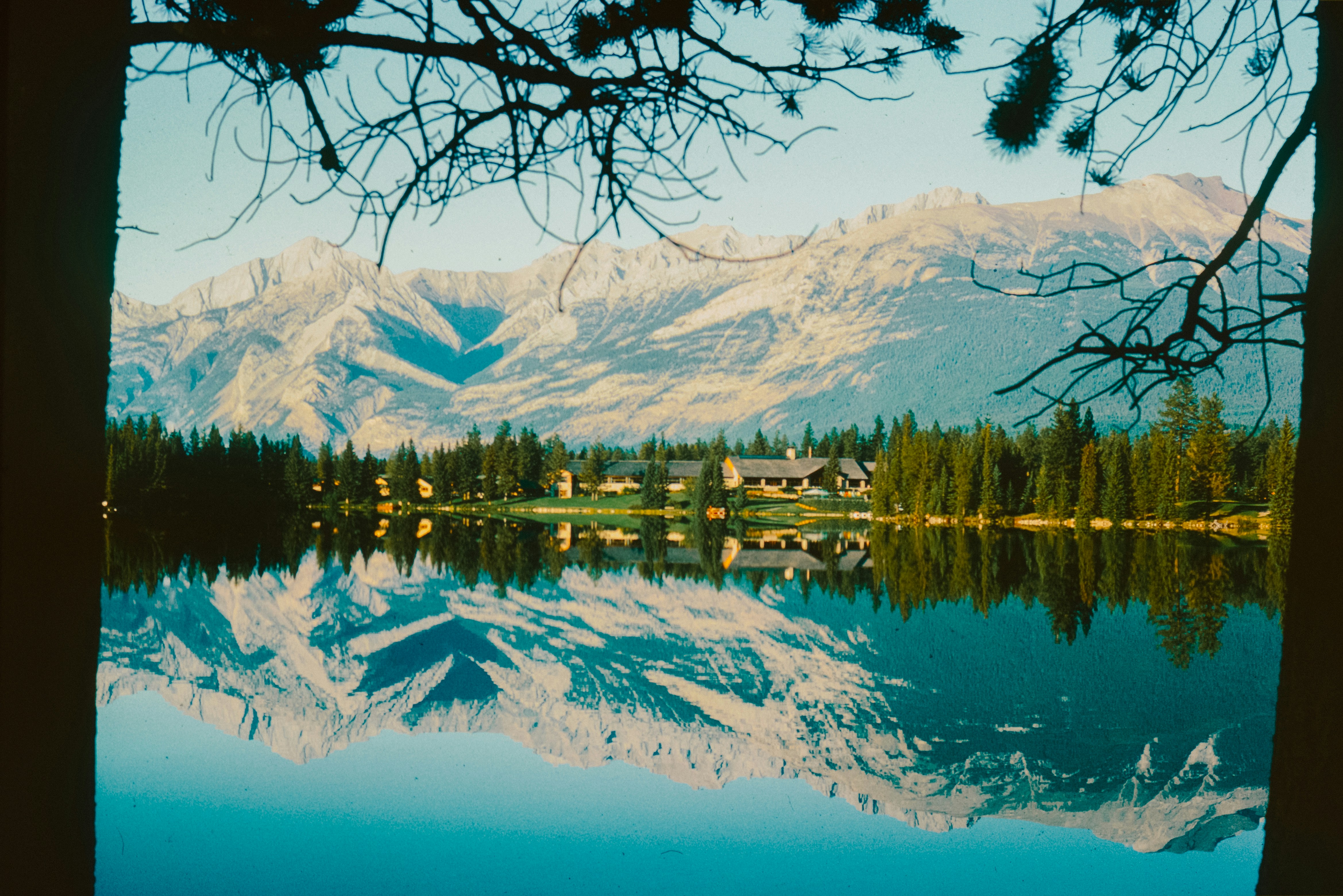 Photo by anniespratt