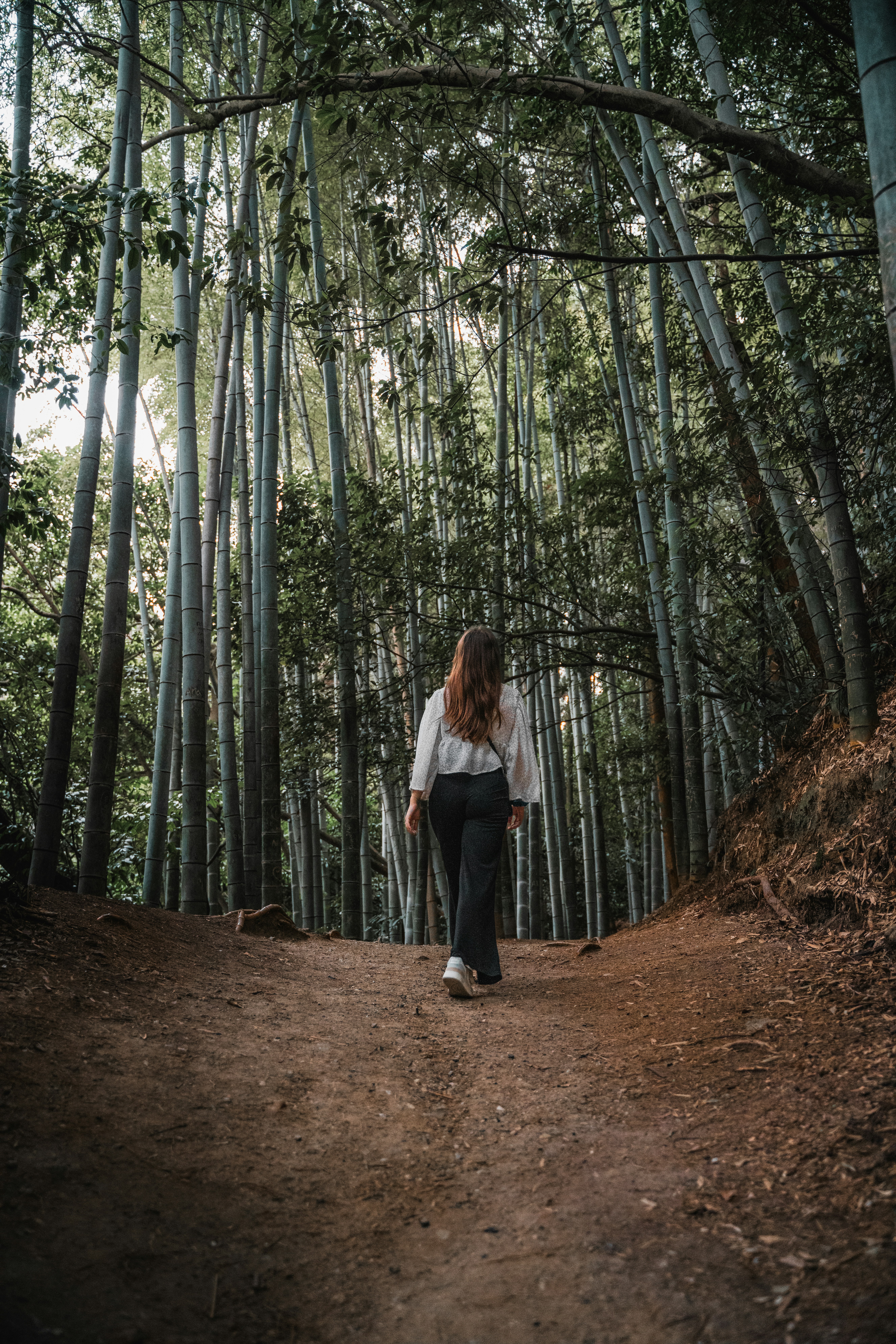 A woman standing in the middle of a forest