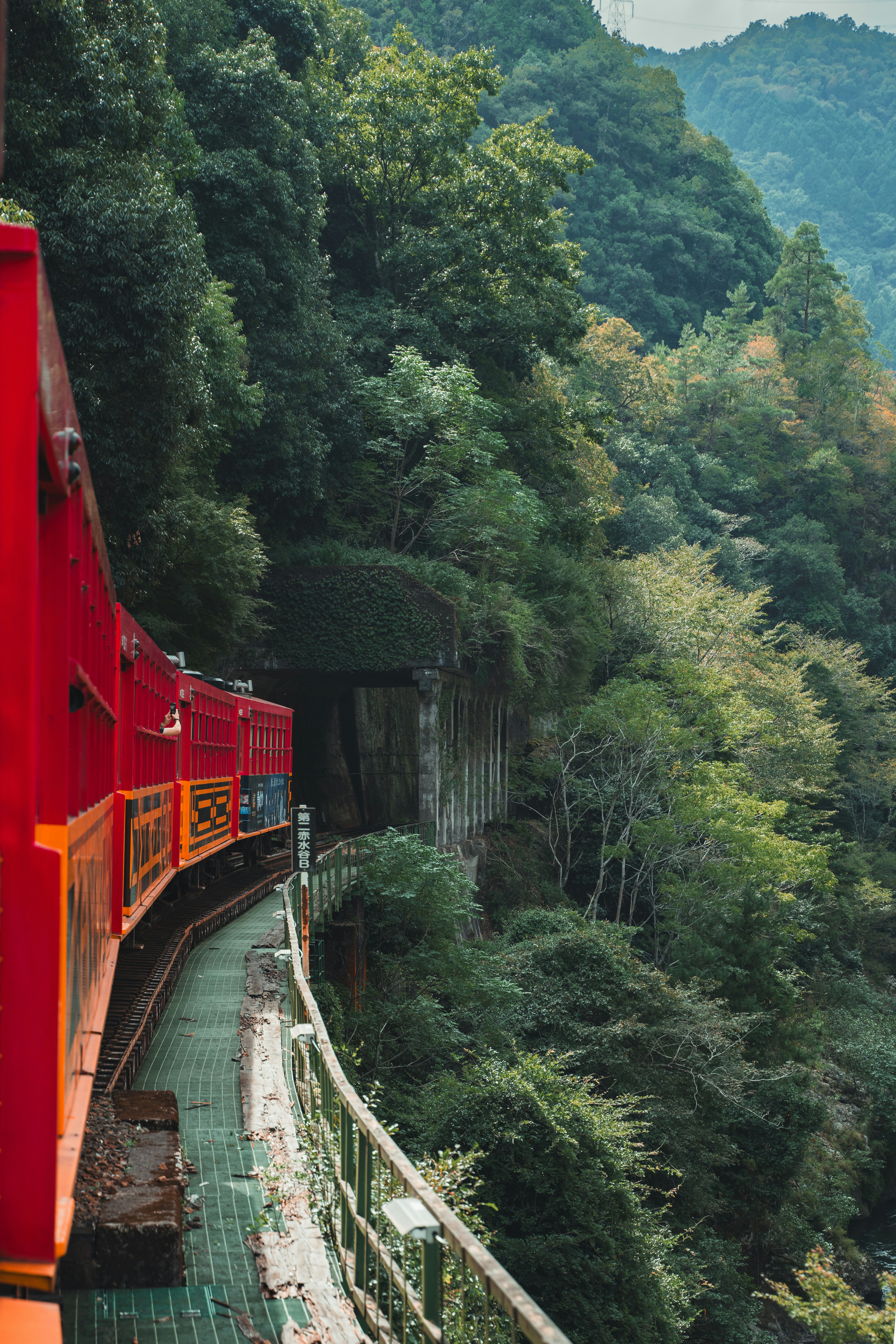 A red train traveling through a lush green forest