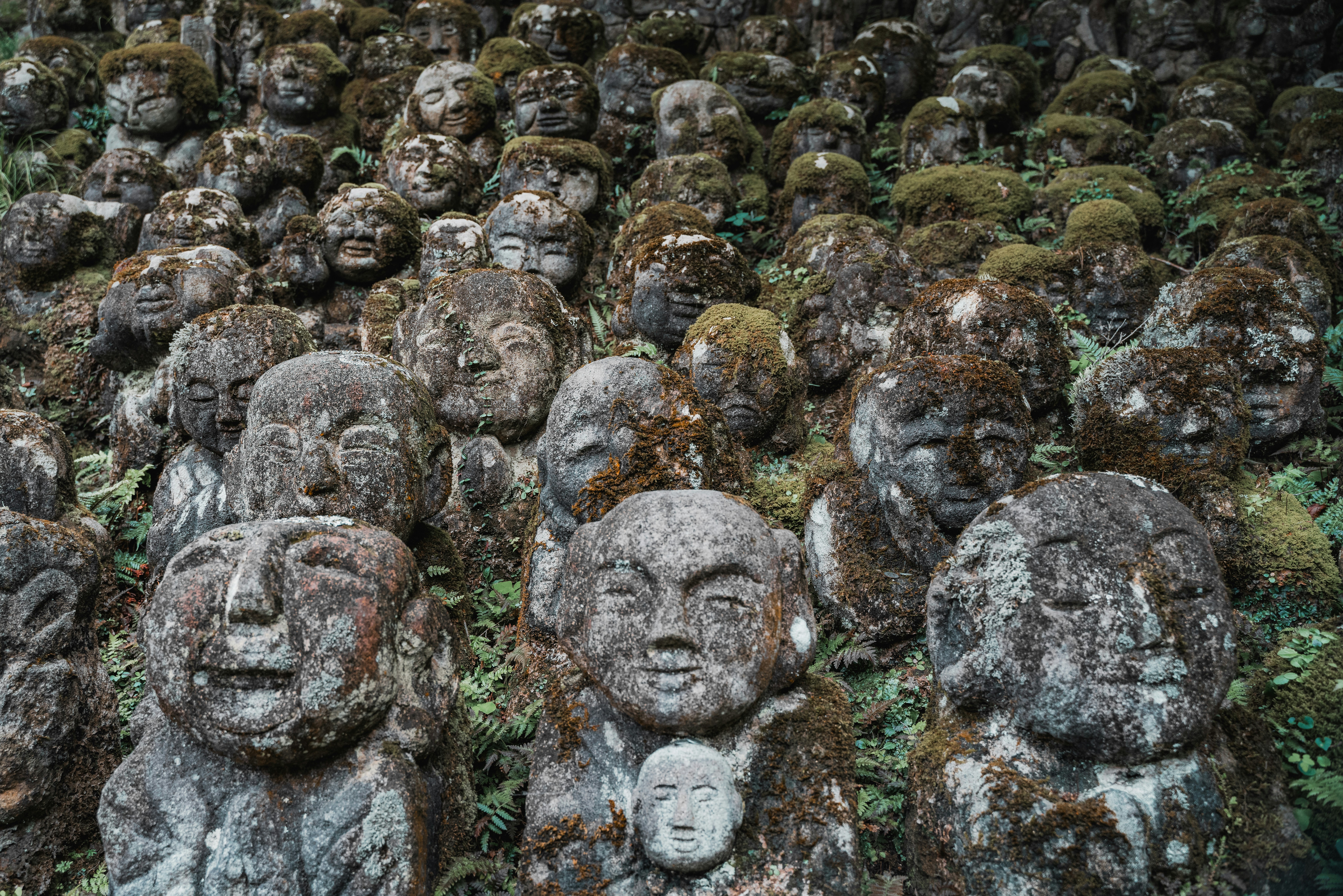 A large group of carved heads sitting on top of a lush green field