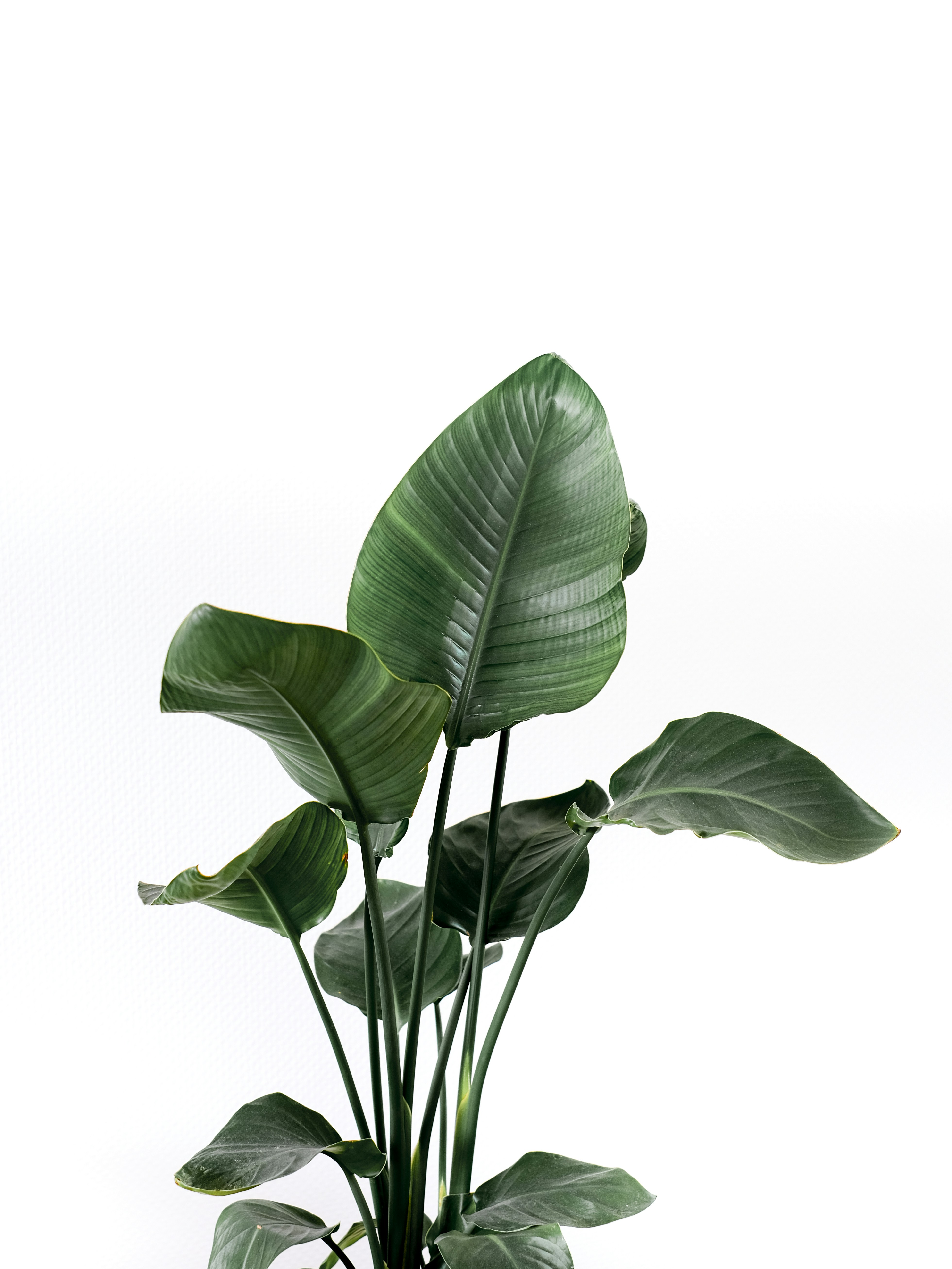 Photo by visualsbying