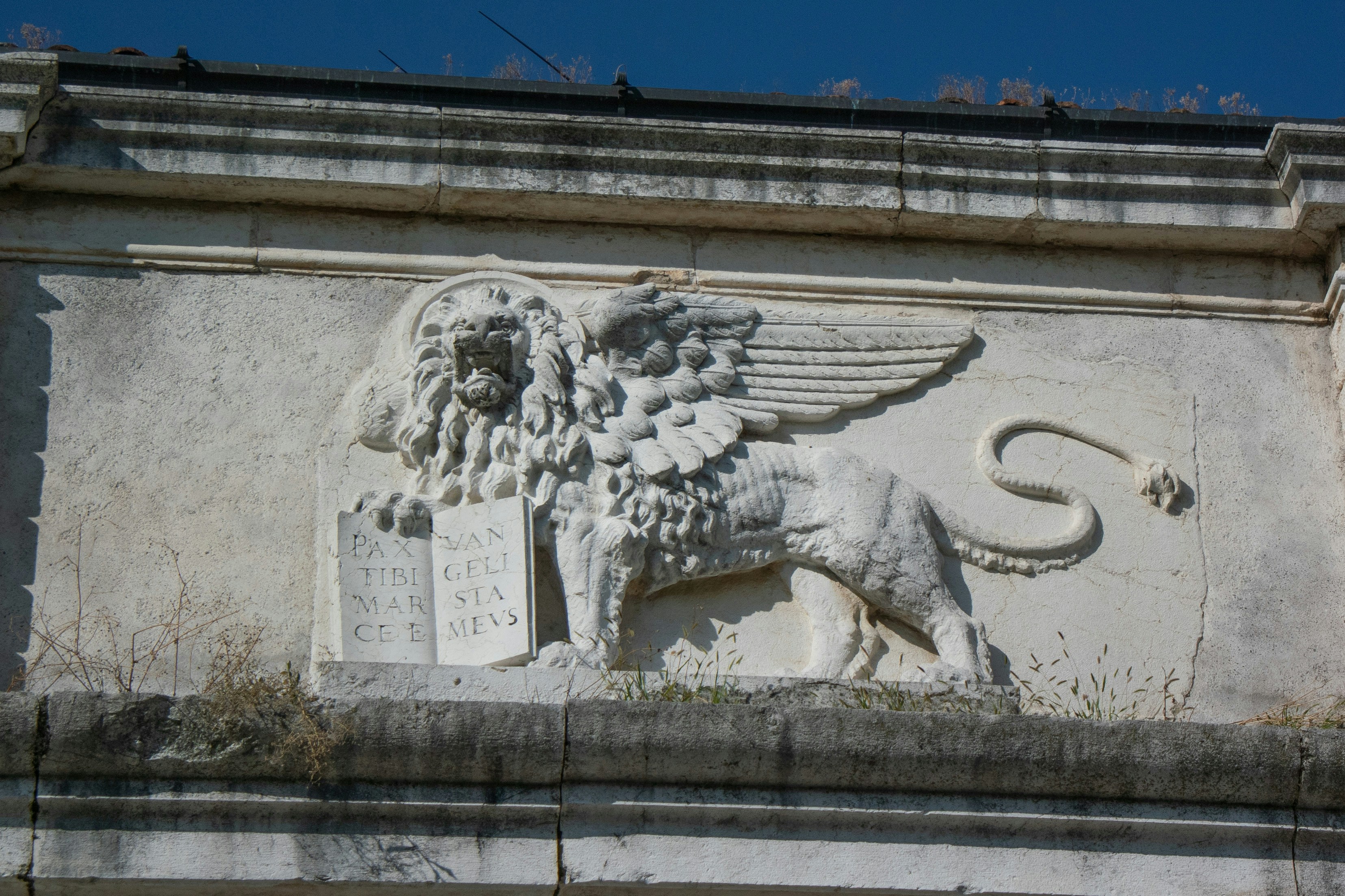 A statue of a lion on the side of a building
