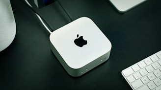 A close up of an apple mouse and keyboard