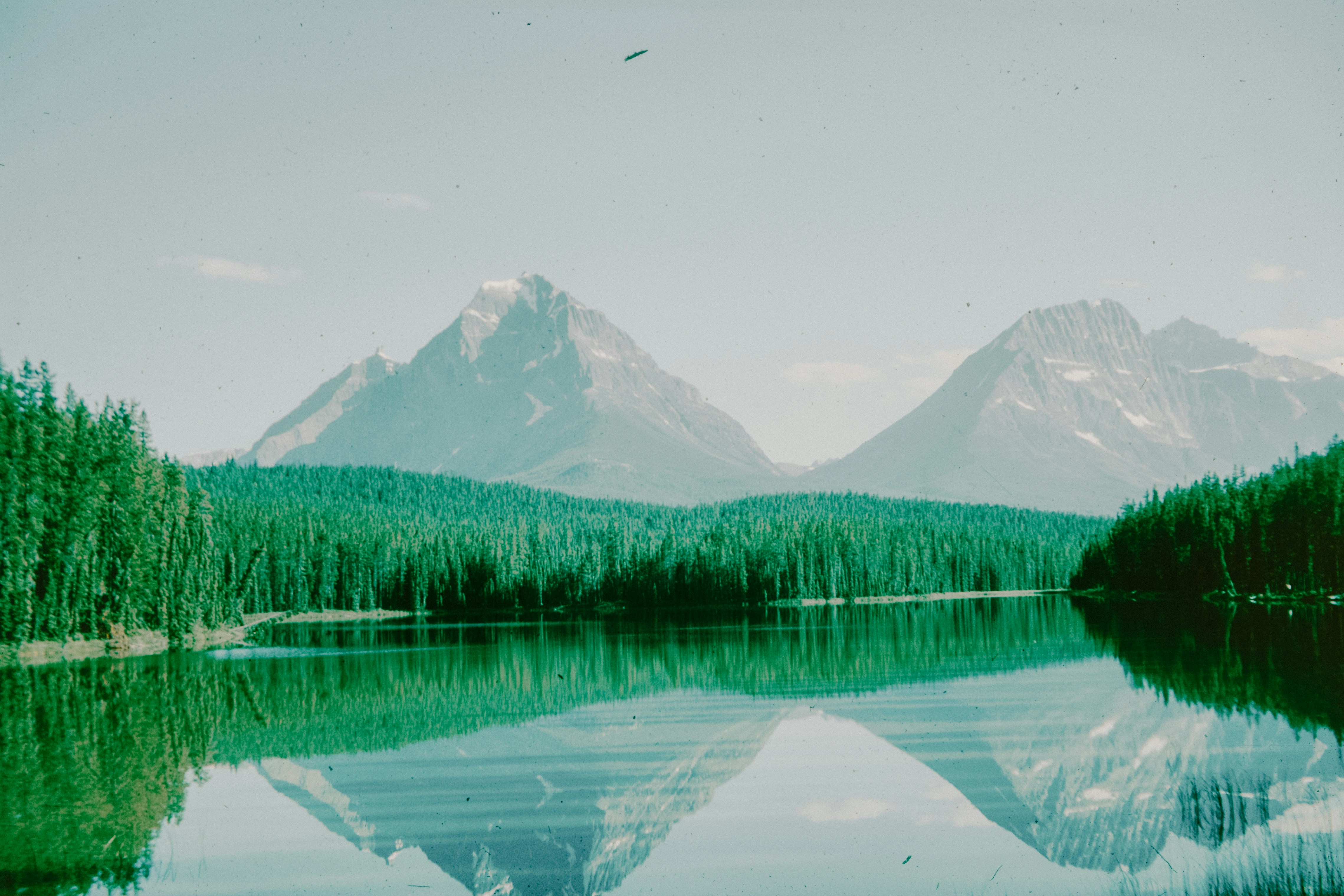 Photo by anniespratt