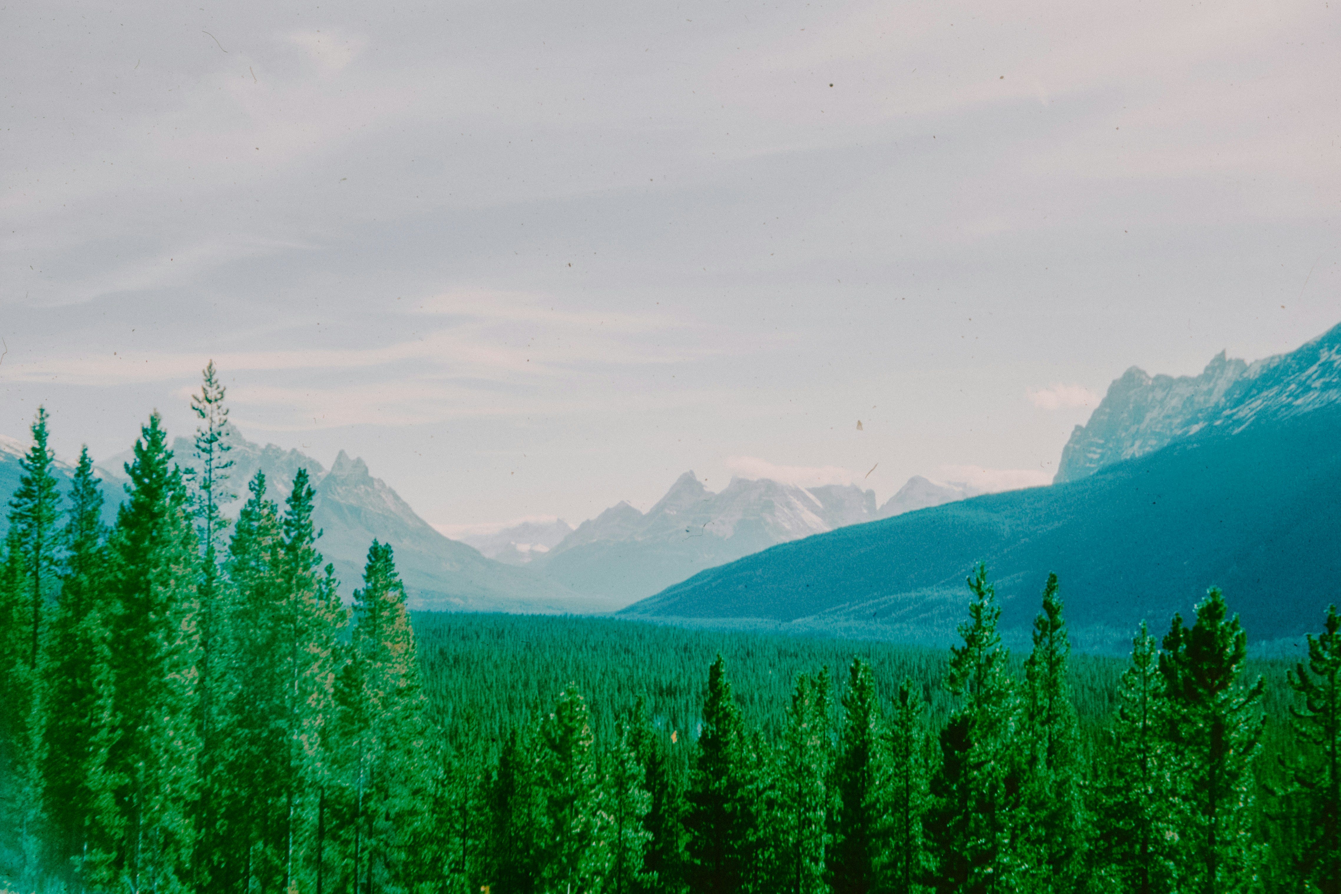 Photo by anniespratt