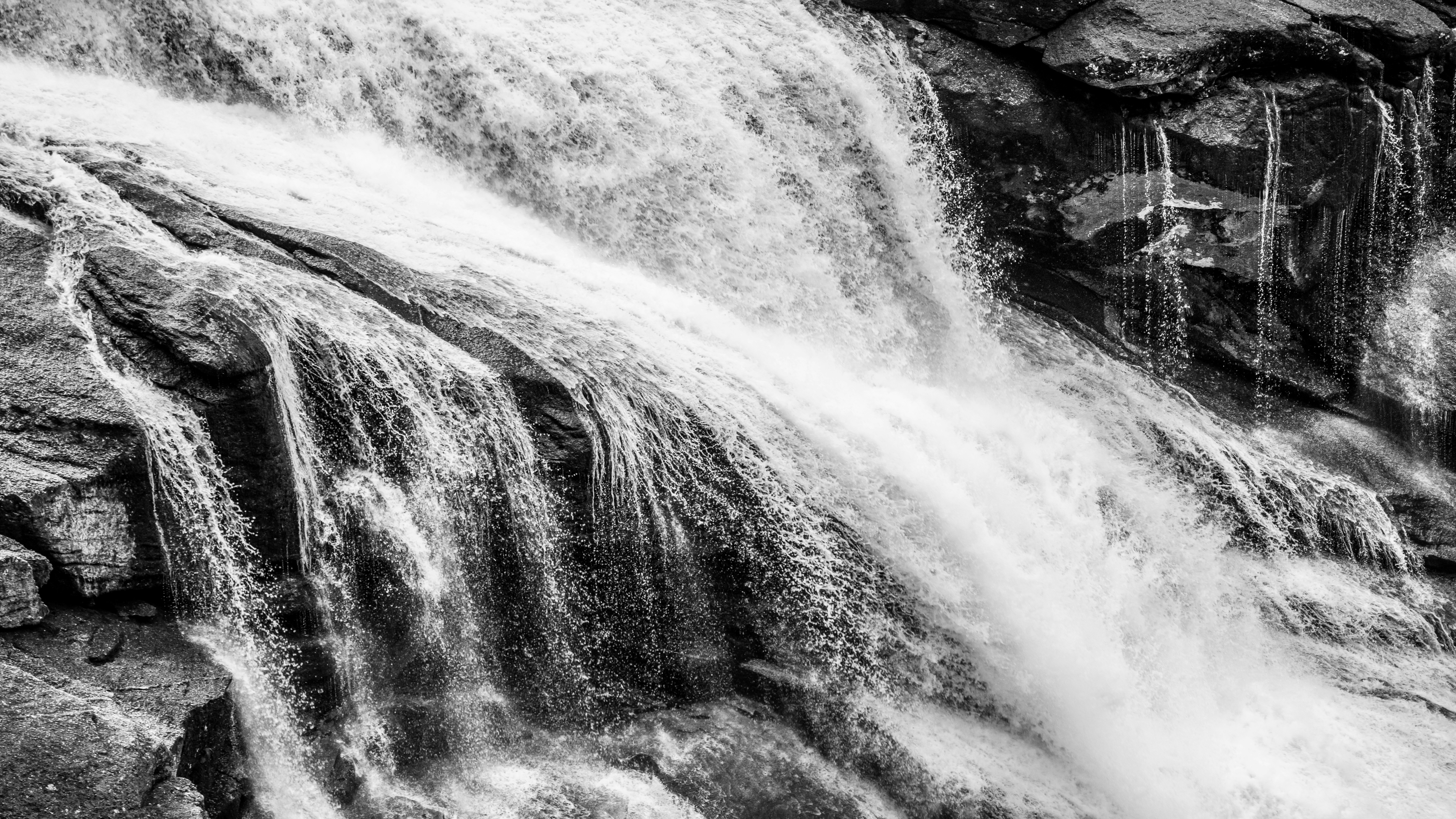 Photo by modry_dinosaurus