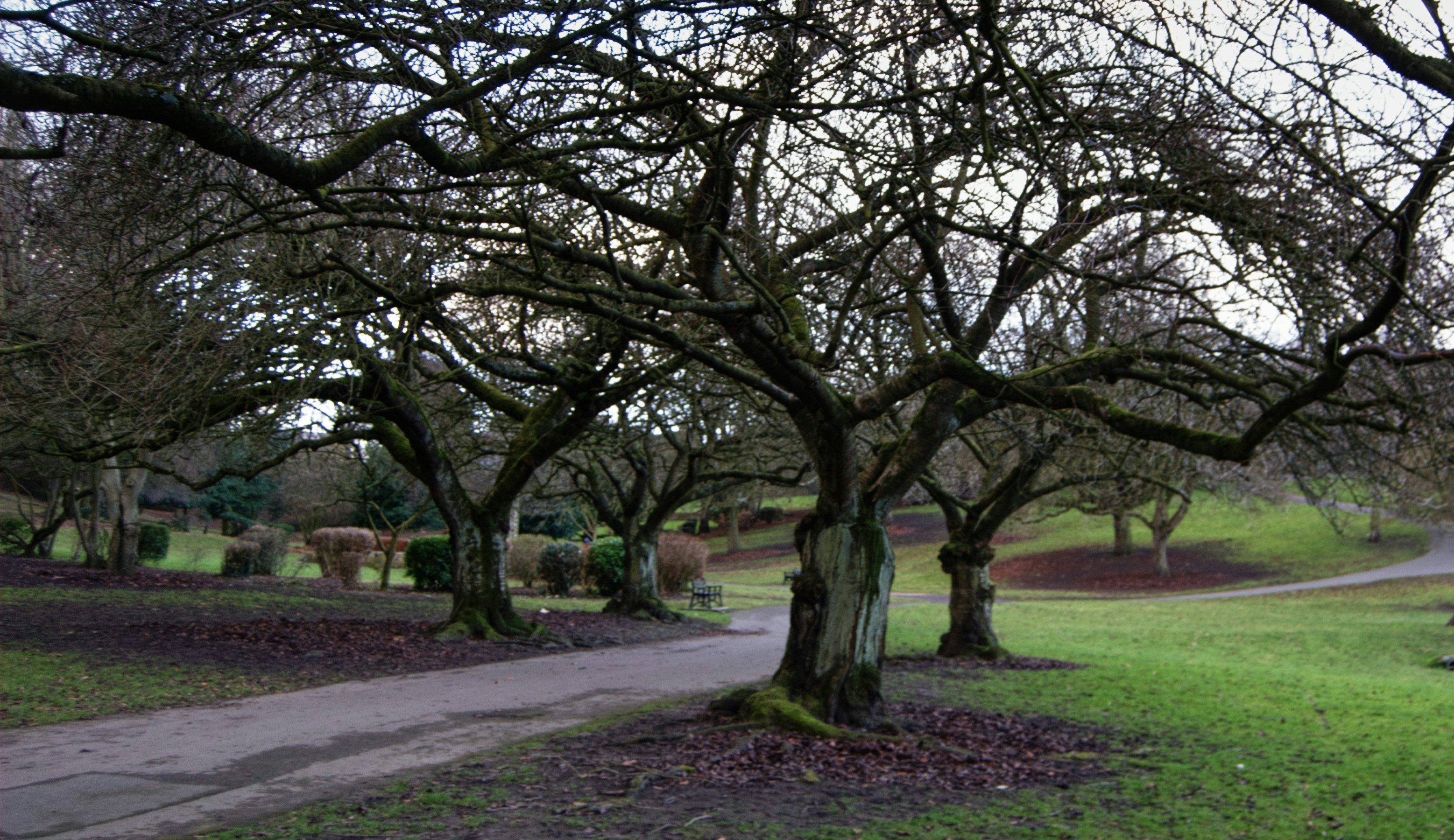 Plumtree Park
