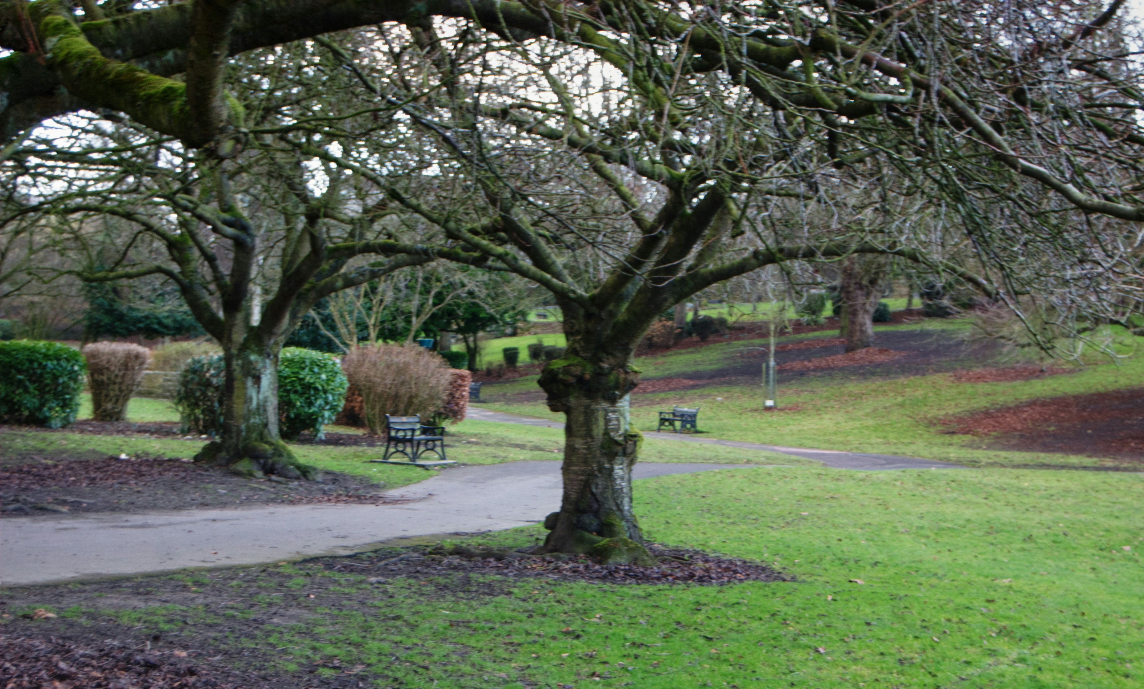 Matson Run Parkway