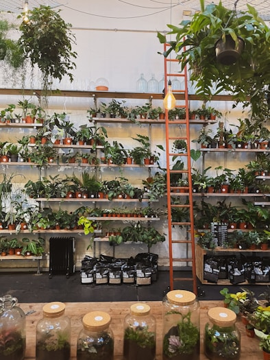 A room filled with lots of potted plants