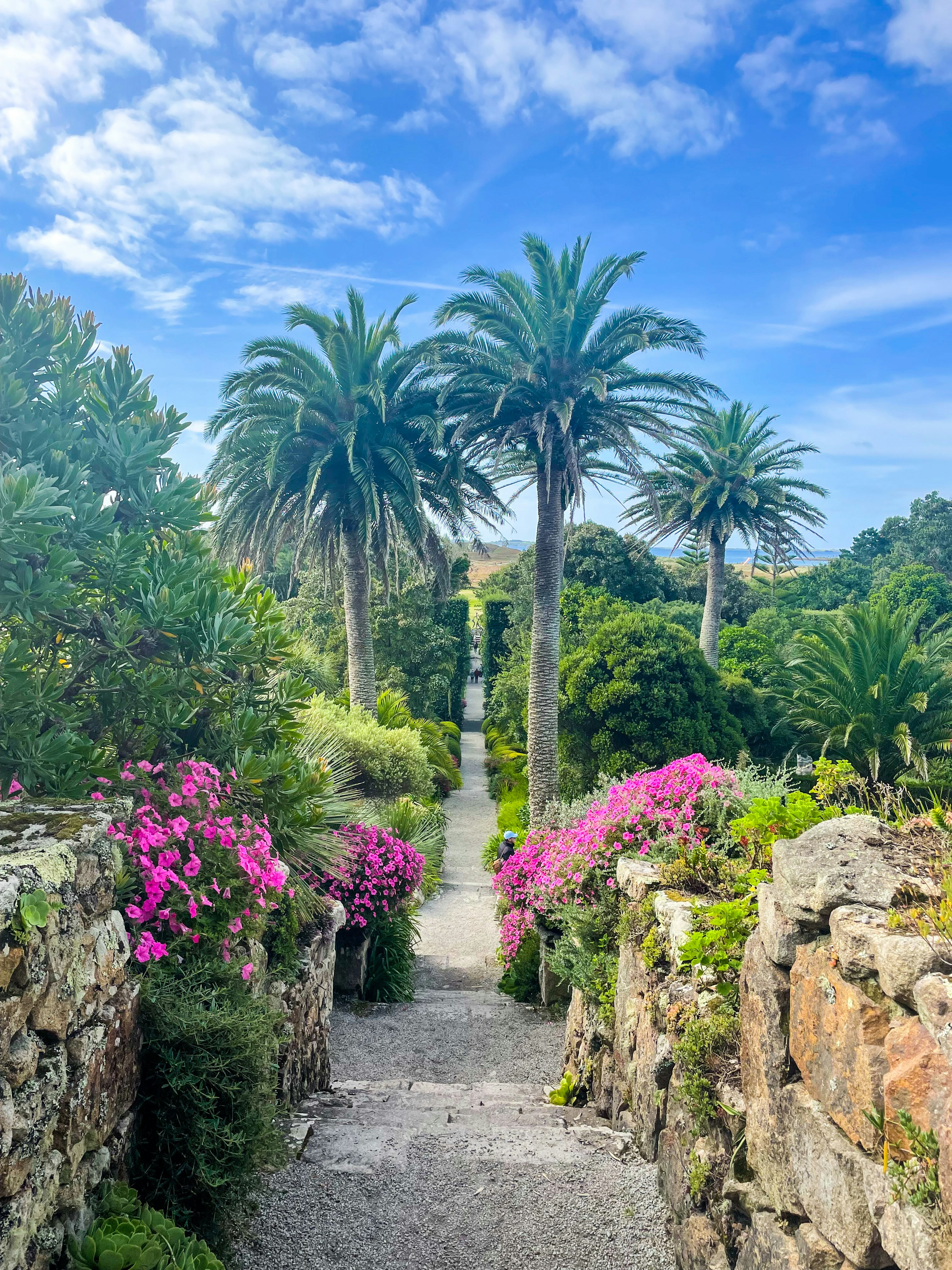 Photo by jacknilescreates