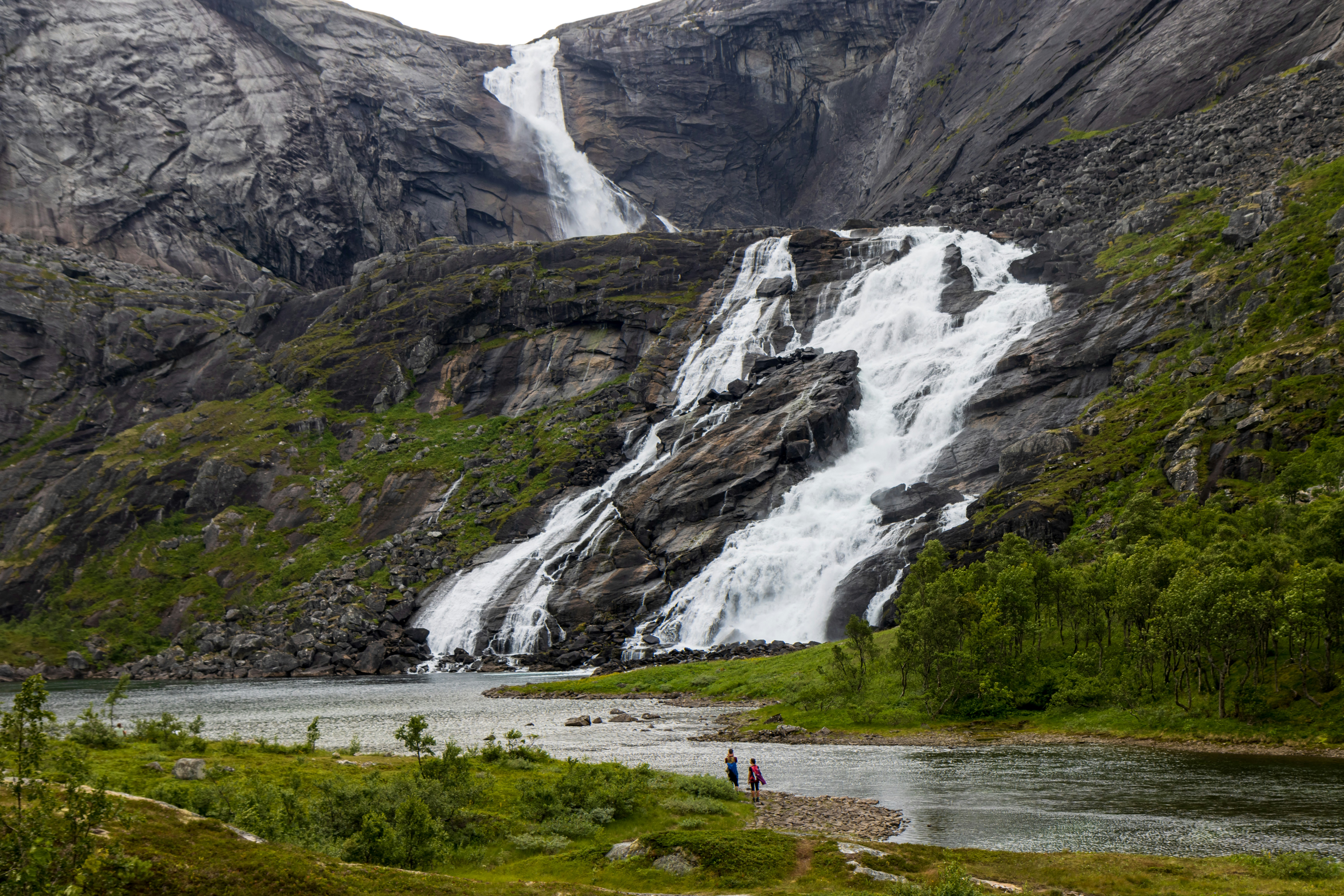 Photo by modry_dinosaurus