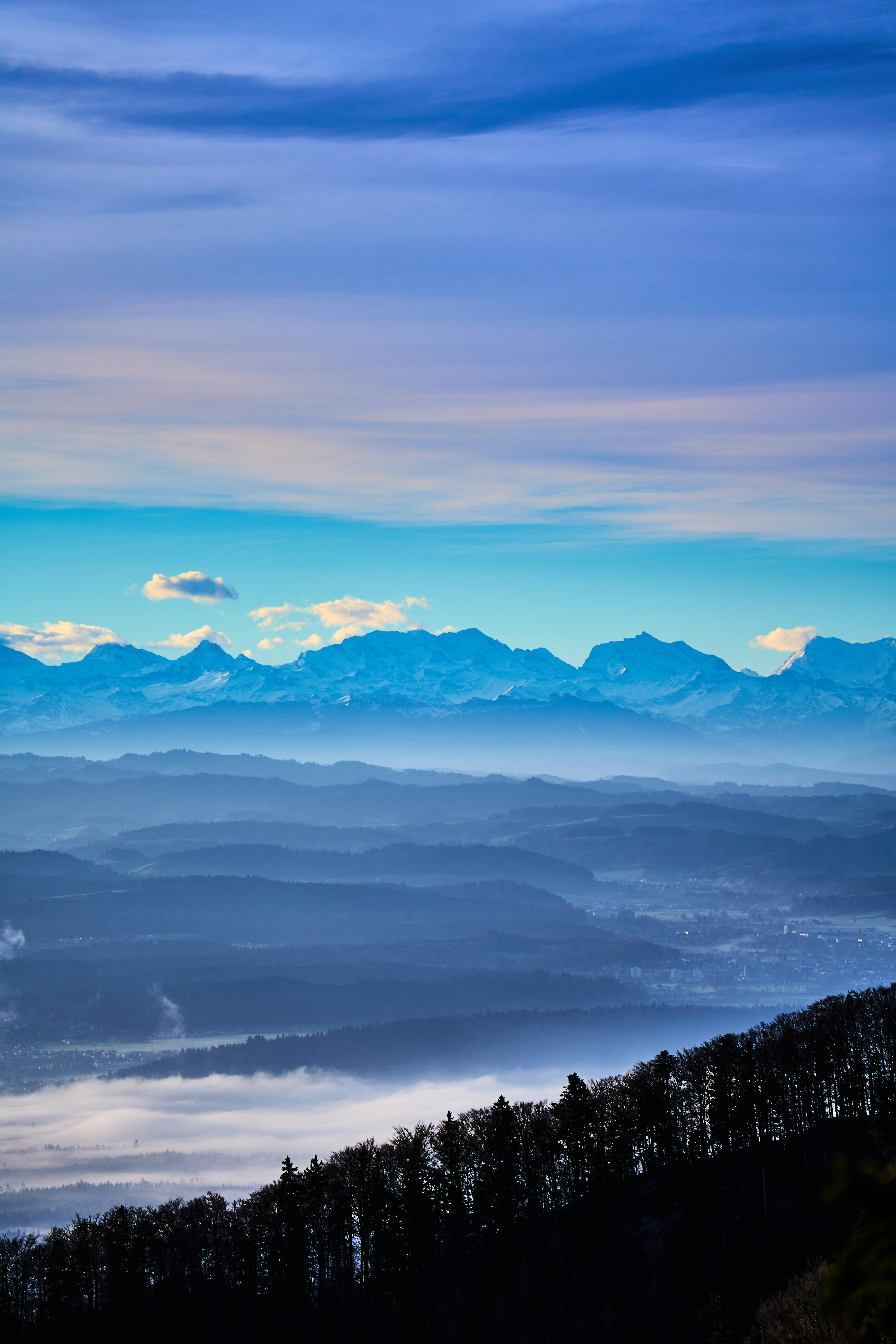 Photo by wolfgang_hasselmann