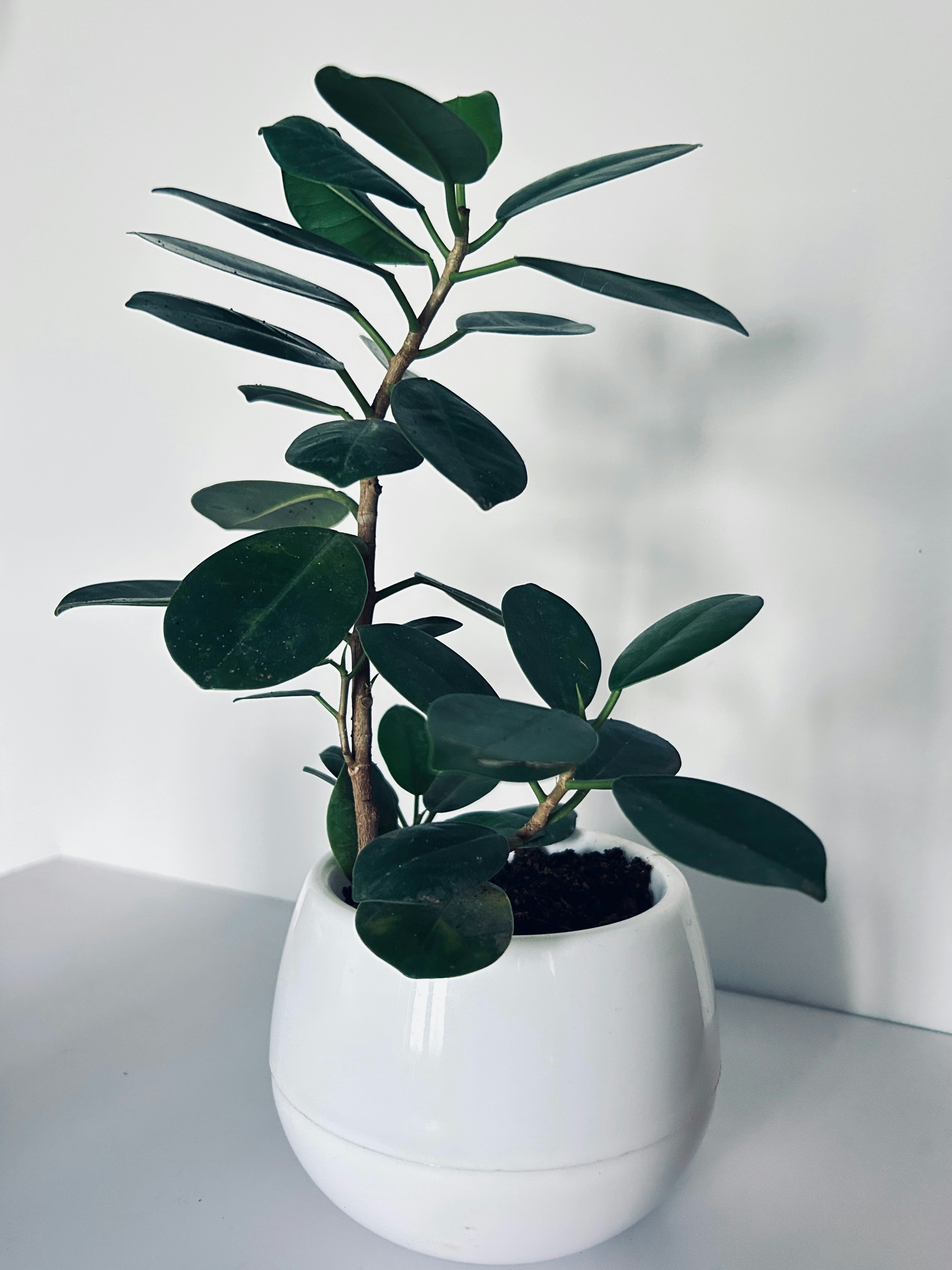 Photo by sunilkumar1462