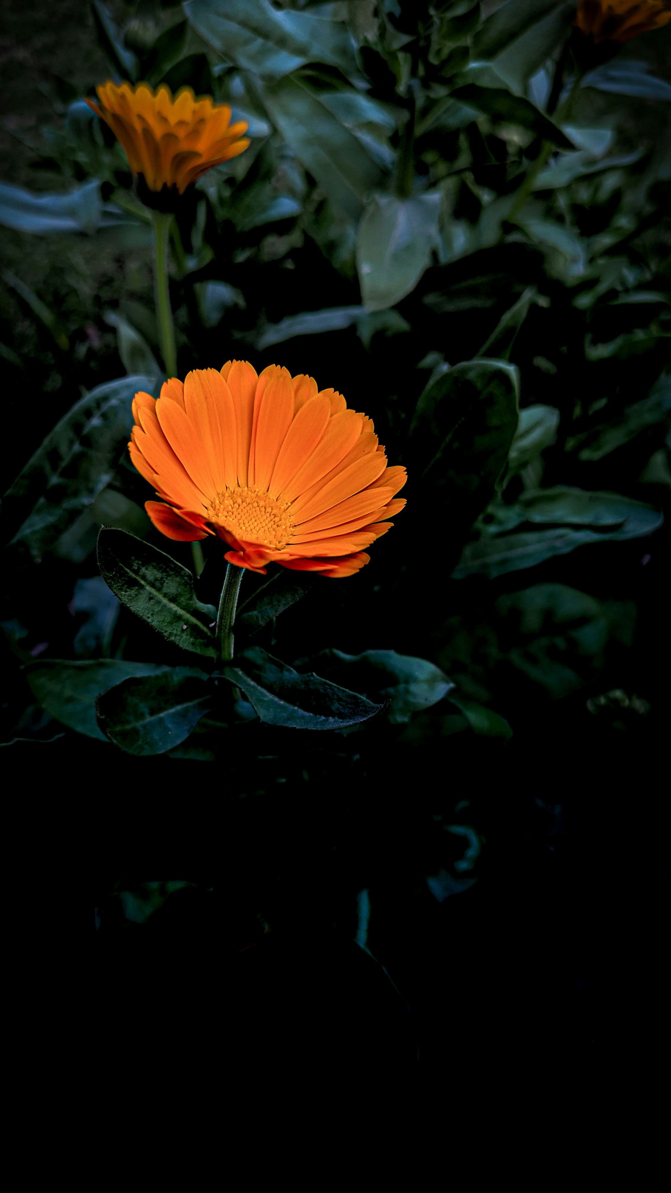 Photo by gauravpandit007